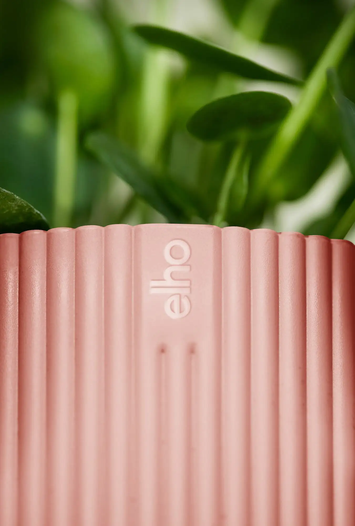 Elho Blumentopf Vibes Fold Ø 22 x 20 cm zartrosa