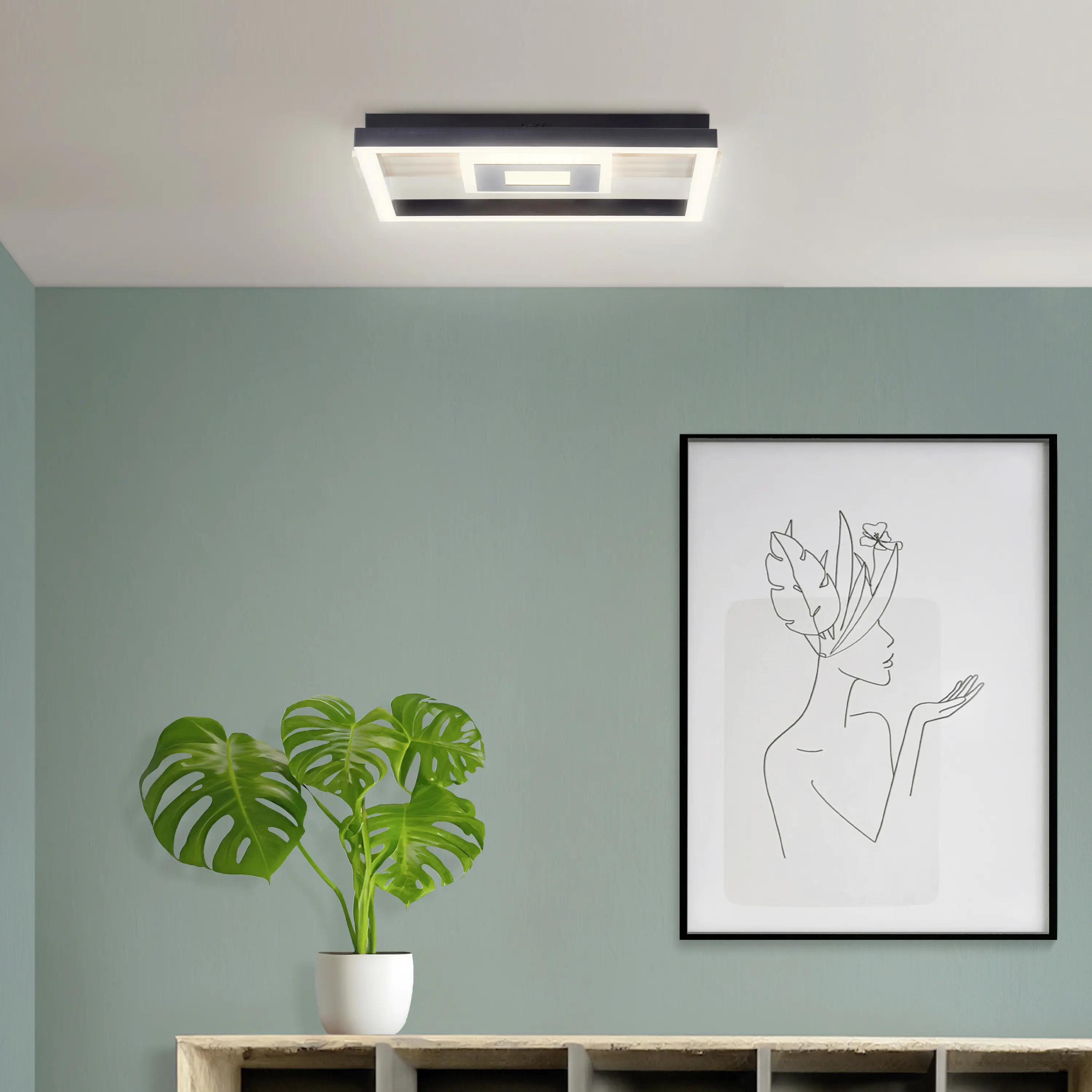Brilliant Leuchten LED Deckenleuchte Baldo 24W, warmweiß, holz