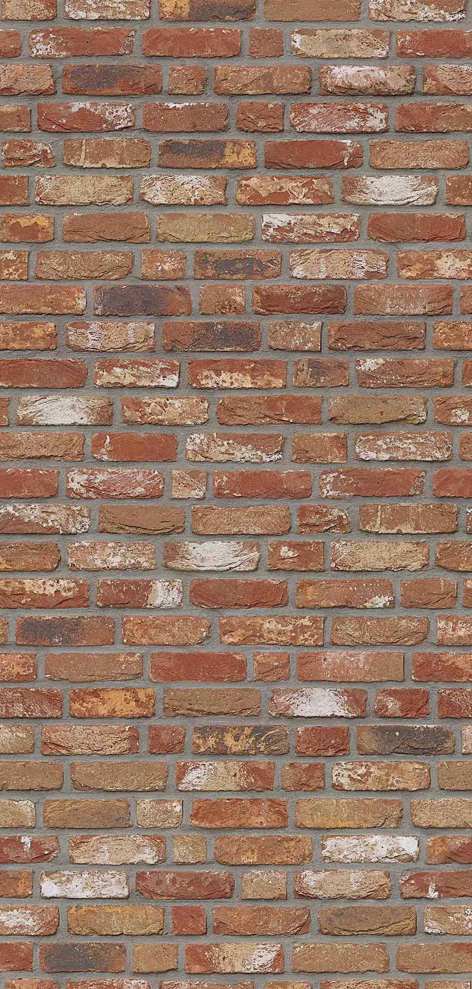 Breuer Duschrückwand Mauer-Optik Rot Dekor 150 x 255 x 0,3 cm