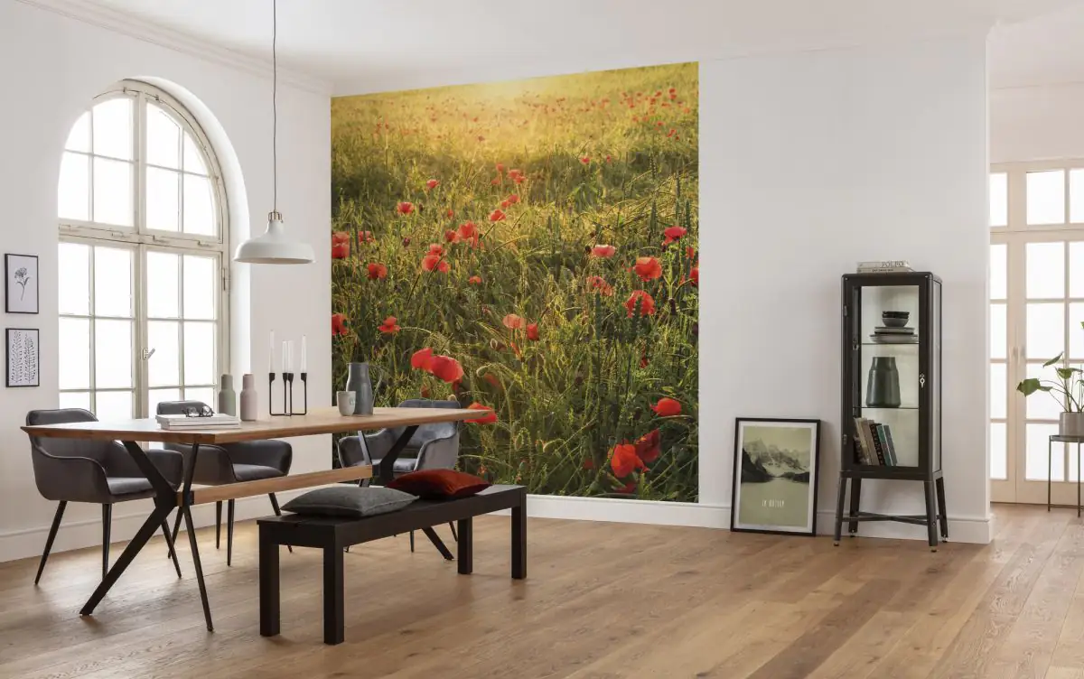 Komar Vlies Fototapete Poppy World 250 x 280 cm 