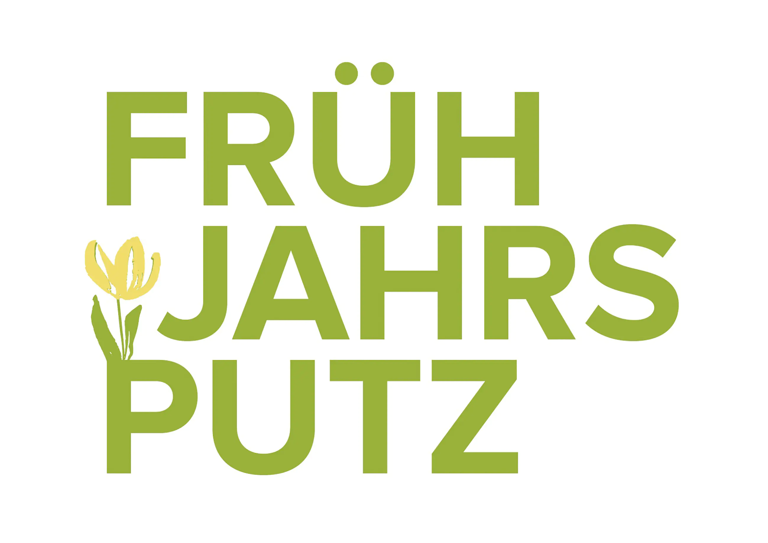 Erfurt Vlies-Rauhfasertapete Frühjahrsputz weiß 20 x 0,53 m