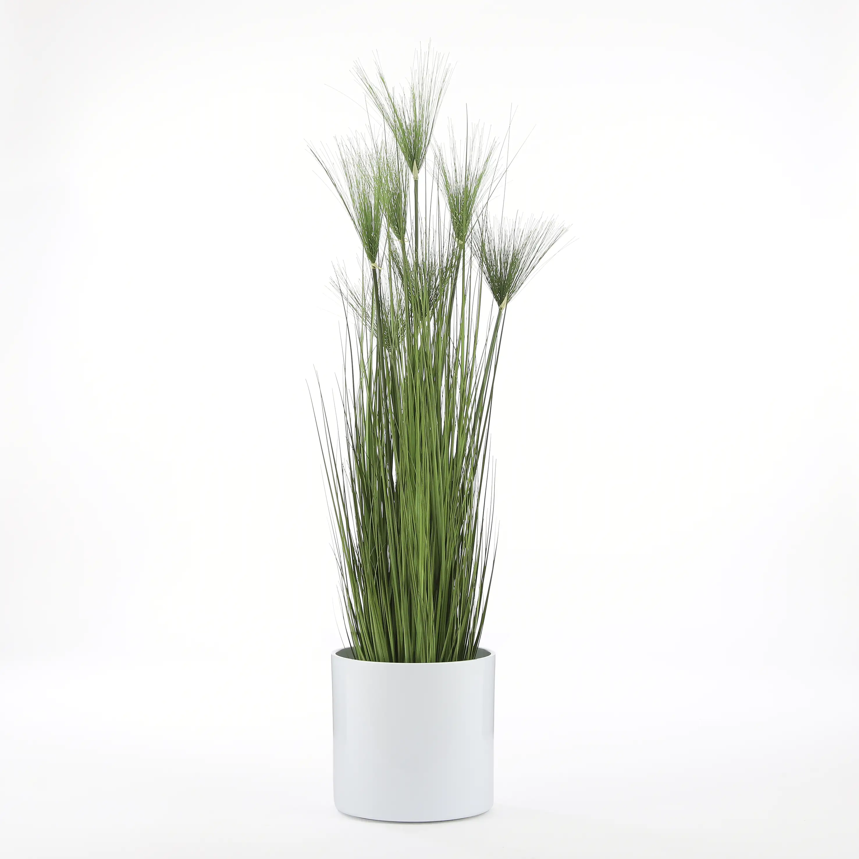 Mica Kunstpflanze Papyrus grün im Topf 150 cm