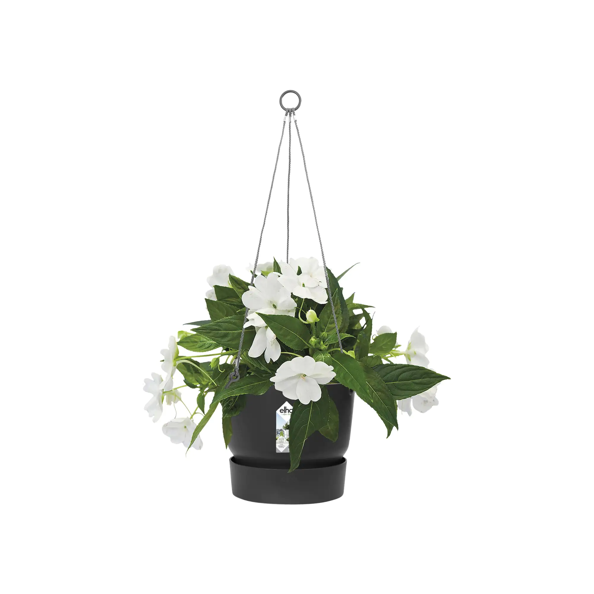 Elho Hängeampel Greenville schwarz Ø 24 cm