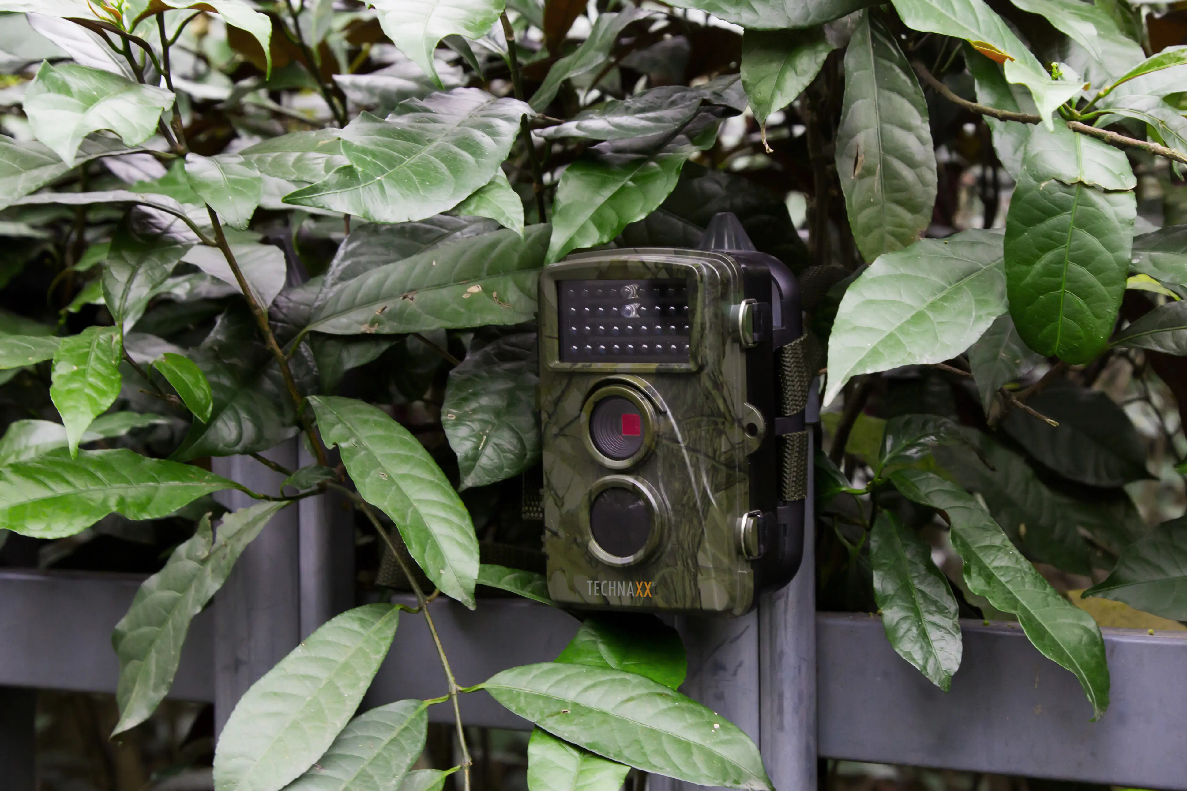 Technaxx Wildkamera Cam TX-69 LCD Display 6 cm (2,4 Zoll)