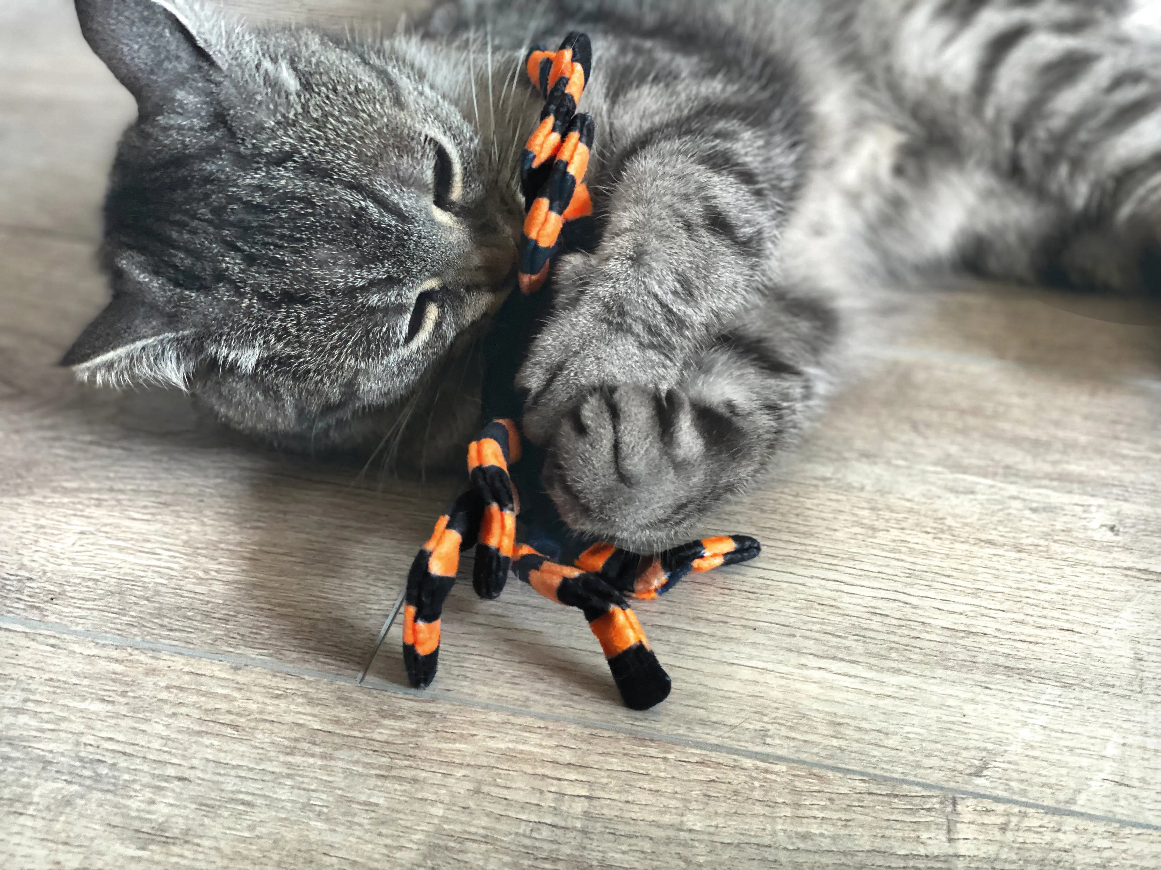 Aumüller Katzenspielzeug Spinne Thekla 18 cm schwarz orange