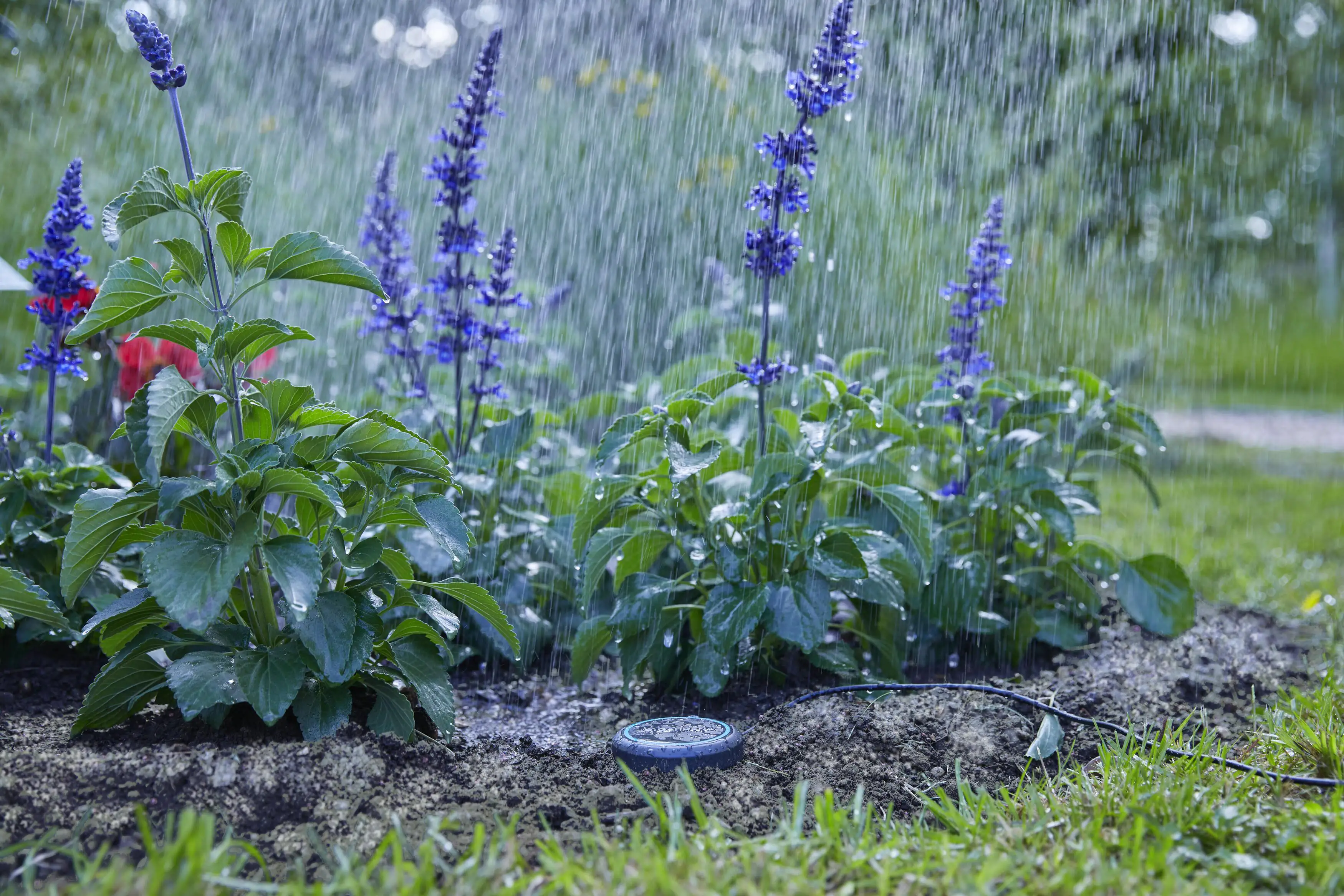 Gardena Bodenfeuchtesensor 01867-20