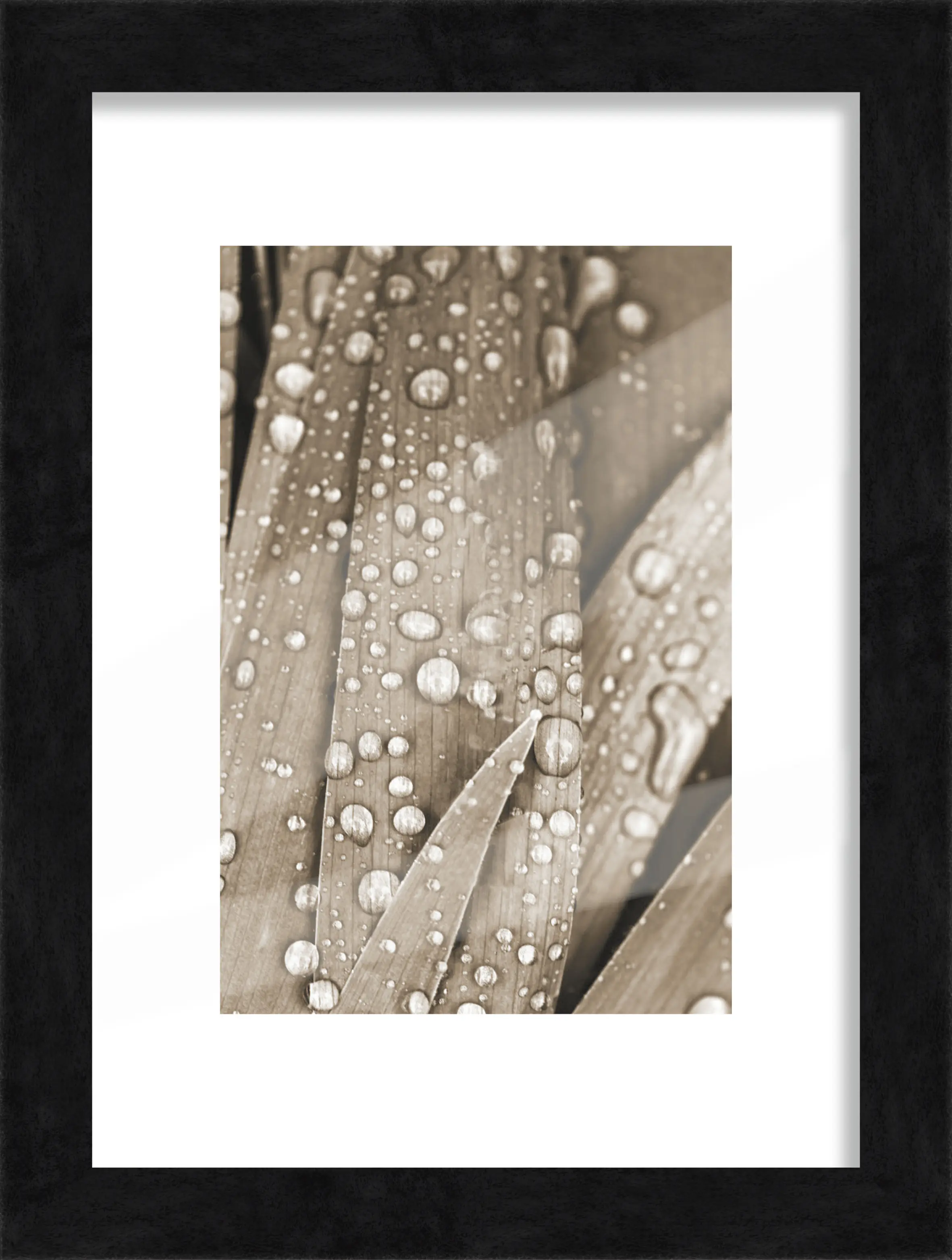 Bilderrahmen Holz Luzern schwarz 15 x 21 cm