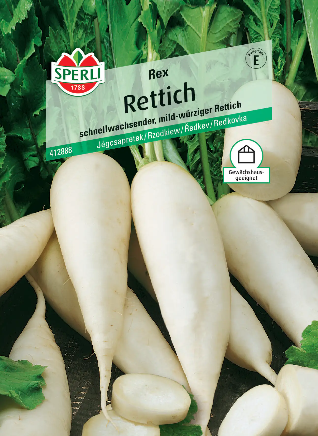 Sperli Rettich Rex