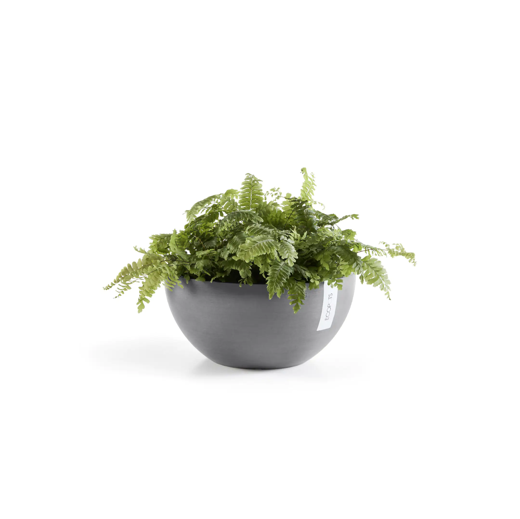 Ecopots Pflanztopf Brussels Ø 25 x 12 cm grau
