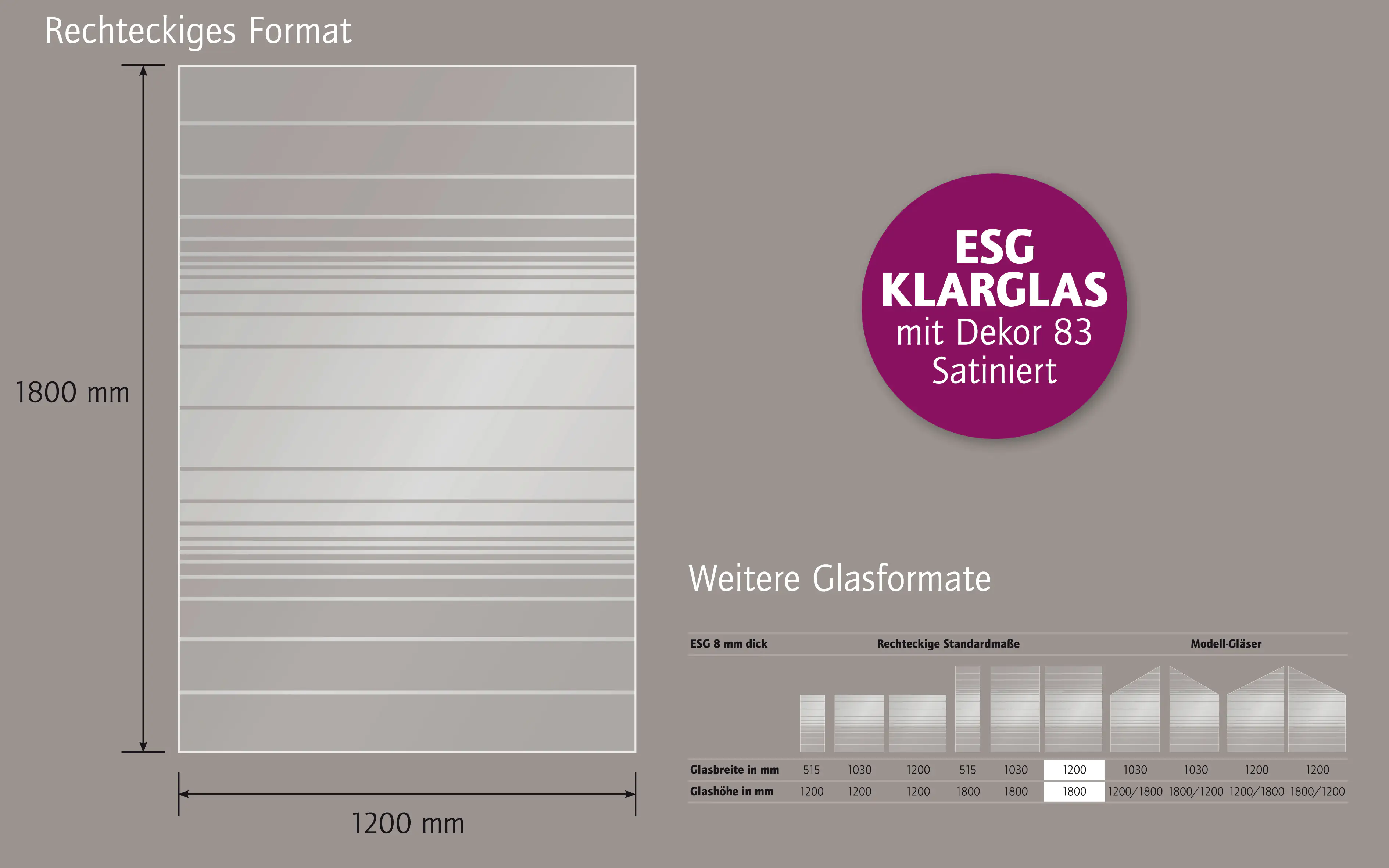 Ambiente Glaszaun Dekor 83 120 x 180 cm gehärtetes 8 mm Glas