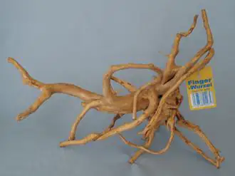 Orbit Finger-Wurzel small small, 20-30 cm