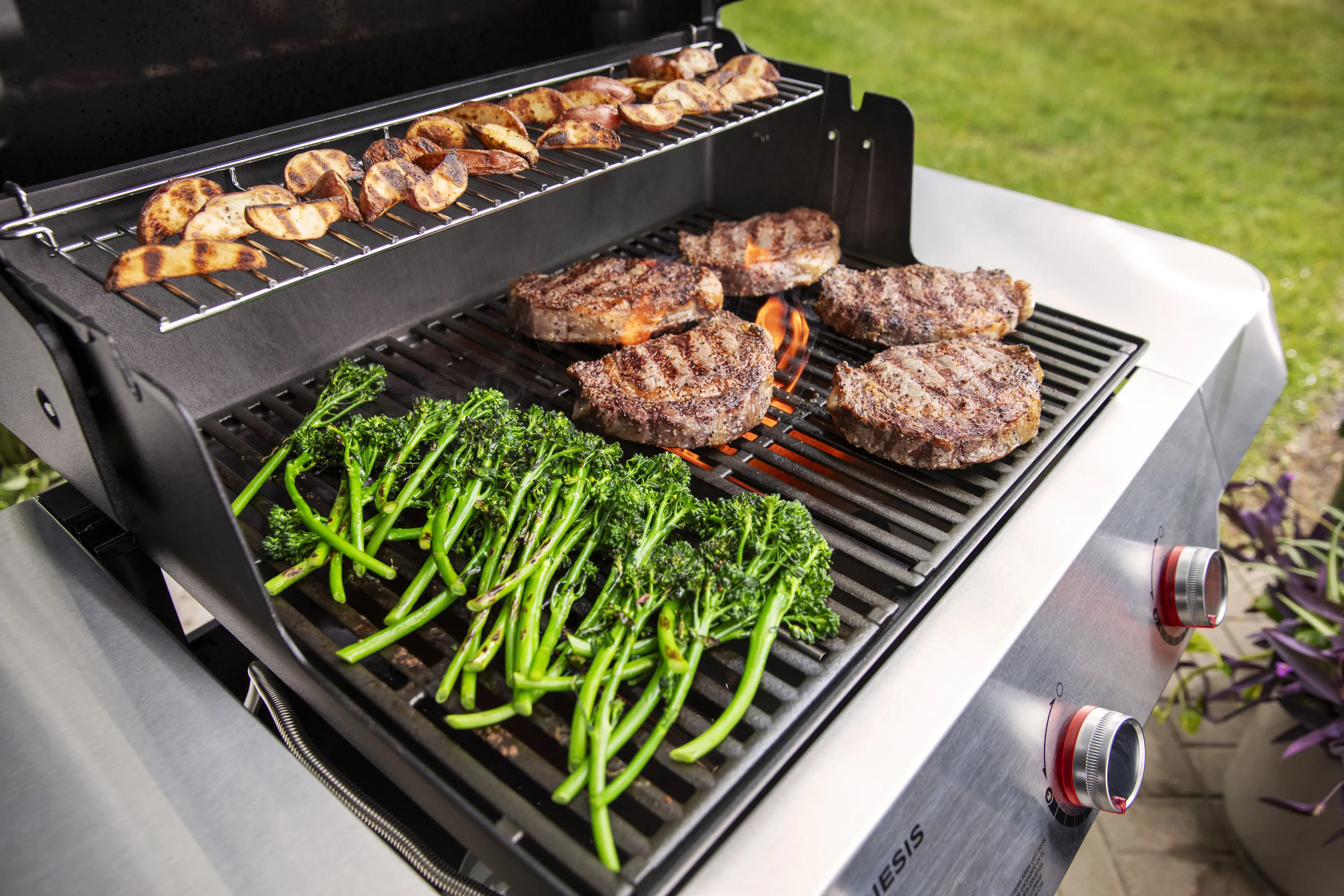 Weber Gasgrill Genesis E-315 Grillfläche: 68 x 48 cm