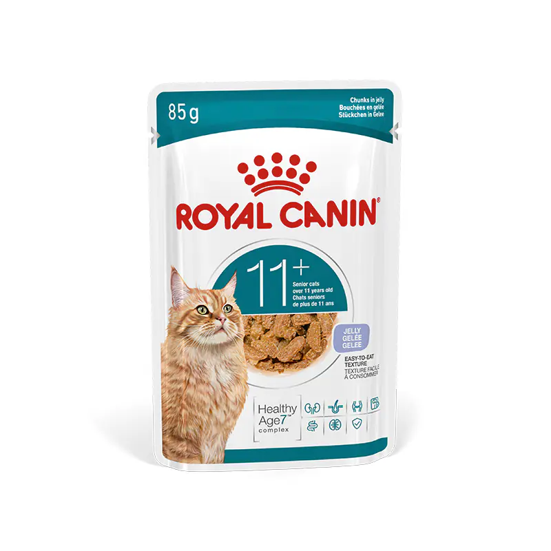 Royal Canin Katzennassfutter Senior Ageing 11+ in Gelee 85 g