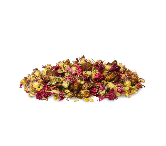 Bunny Nature Nagersnack enjoy Nature Seidenraupenlarven-Mix 40 g