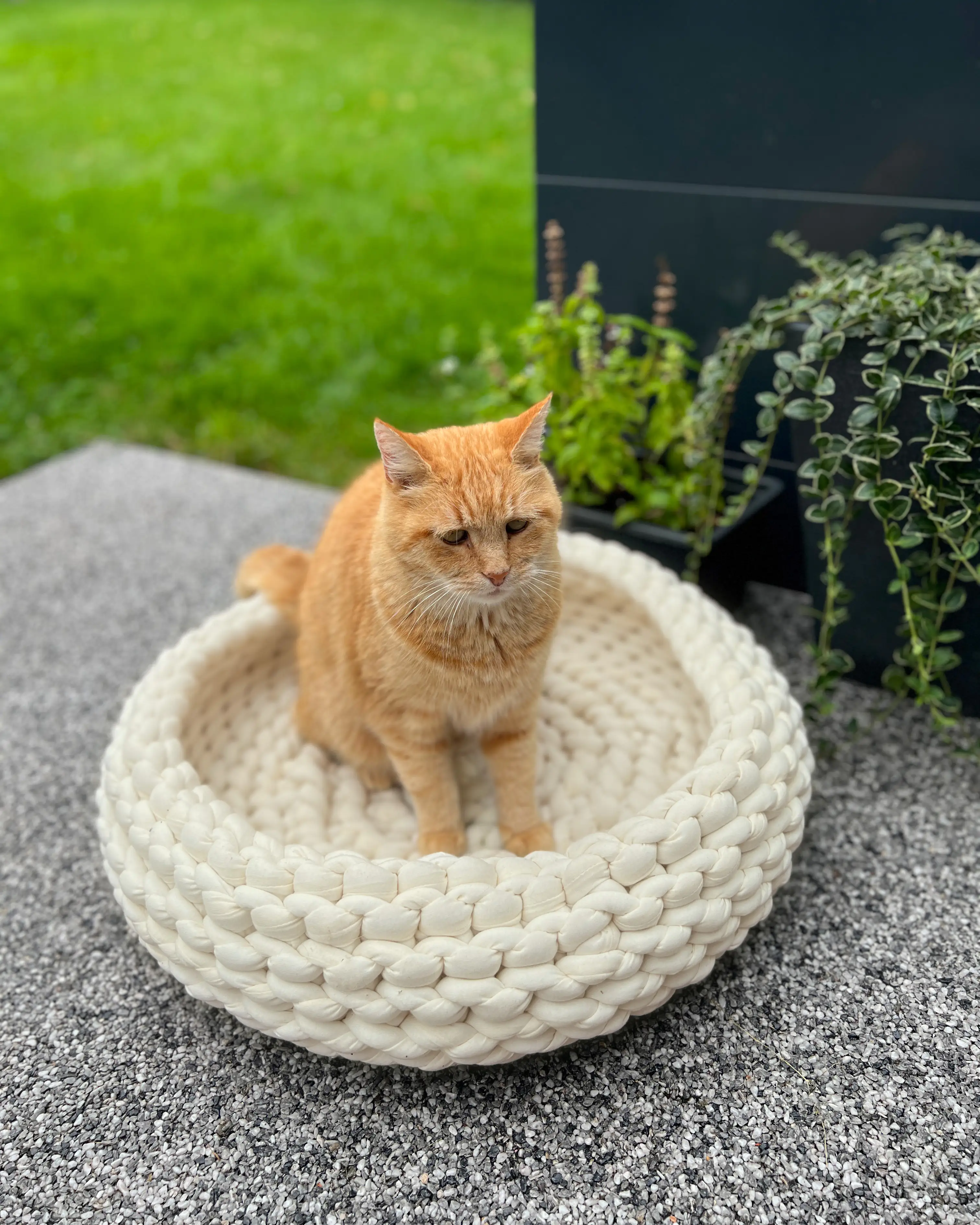 Katzenkorb Grobstrick geflochten 50 x 50 x 15 cm beige