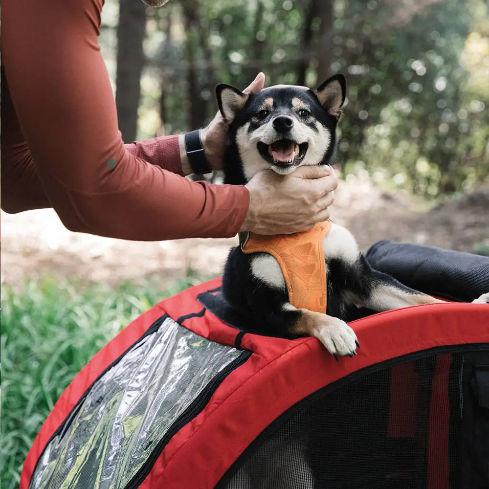 Nobby Fahrradanhänger Senlima für Hunde bis max. 25 kg