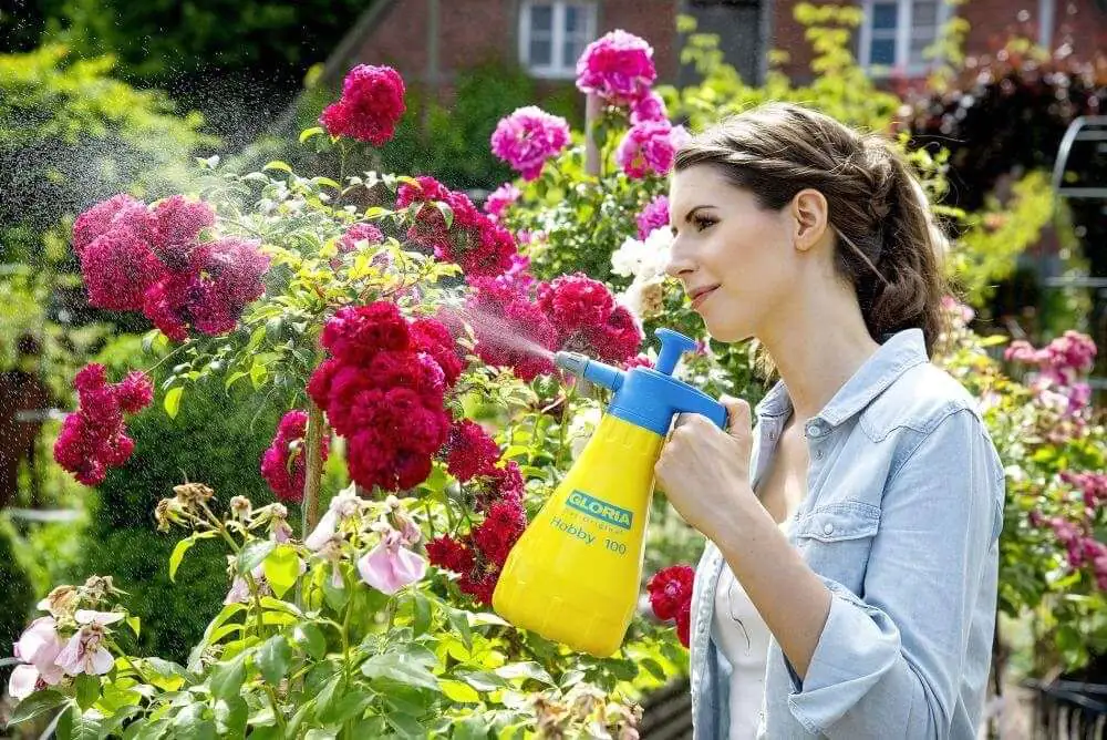Gloria Drucksprühgerät Hobby 100 mit verstellbarer Düse 1 L