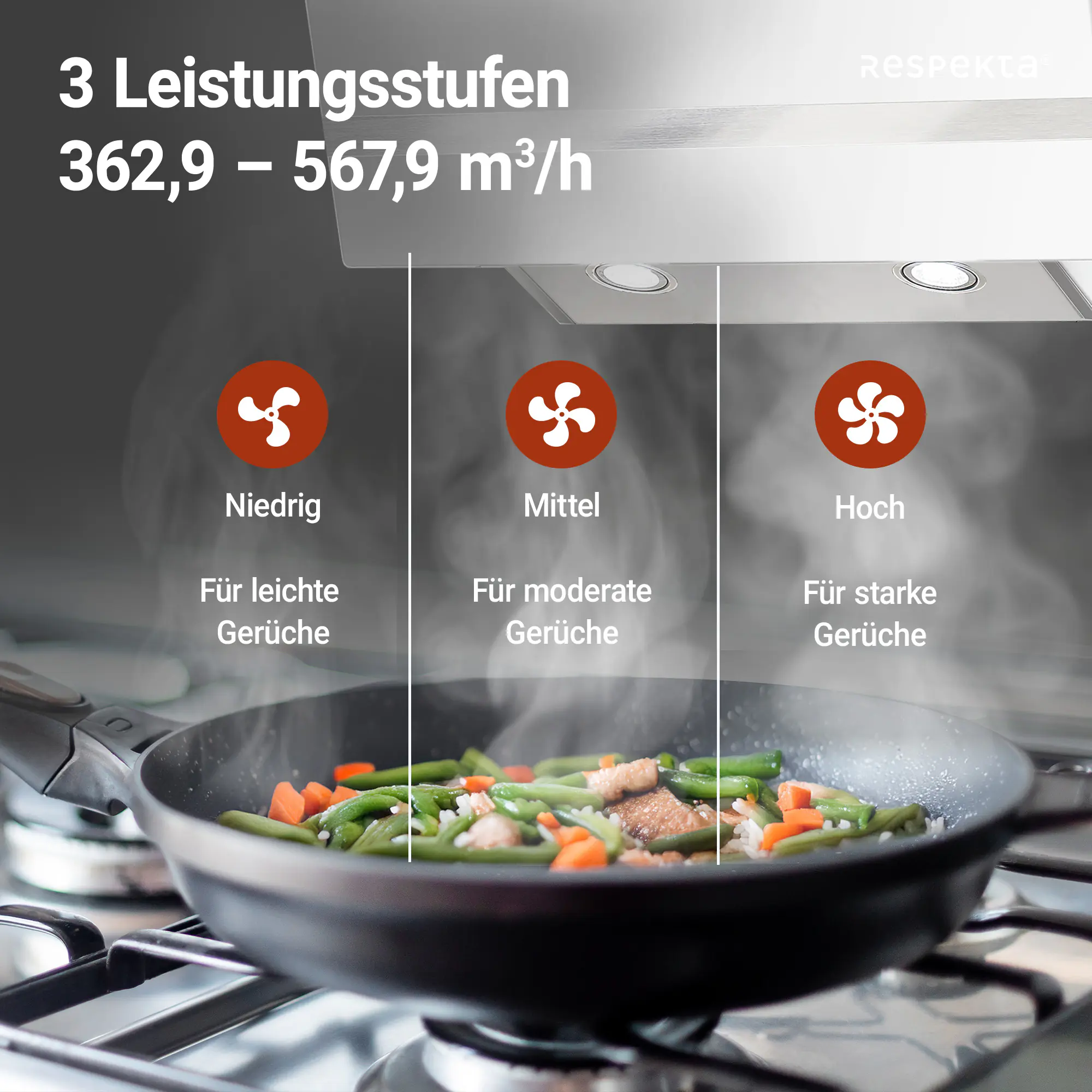 respekta Design-Schräghaube 60 cm weiß Typ / Modell: CH 24060WAM 60 cm