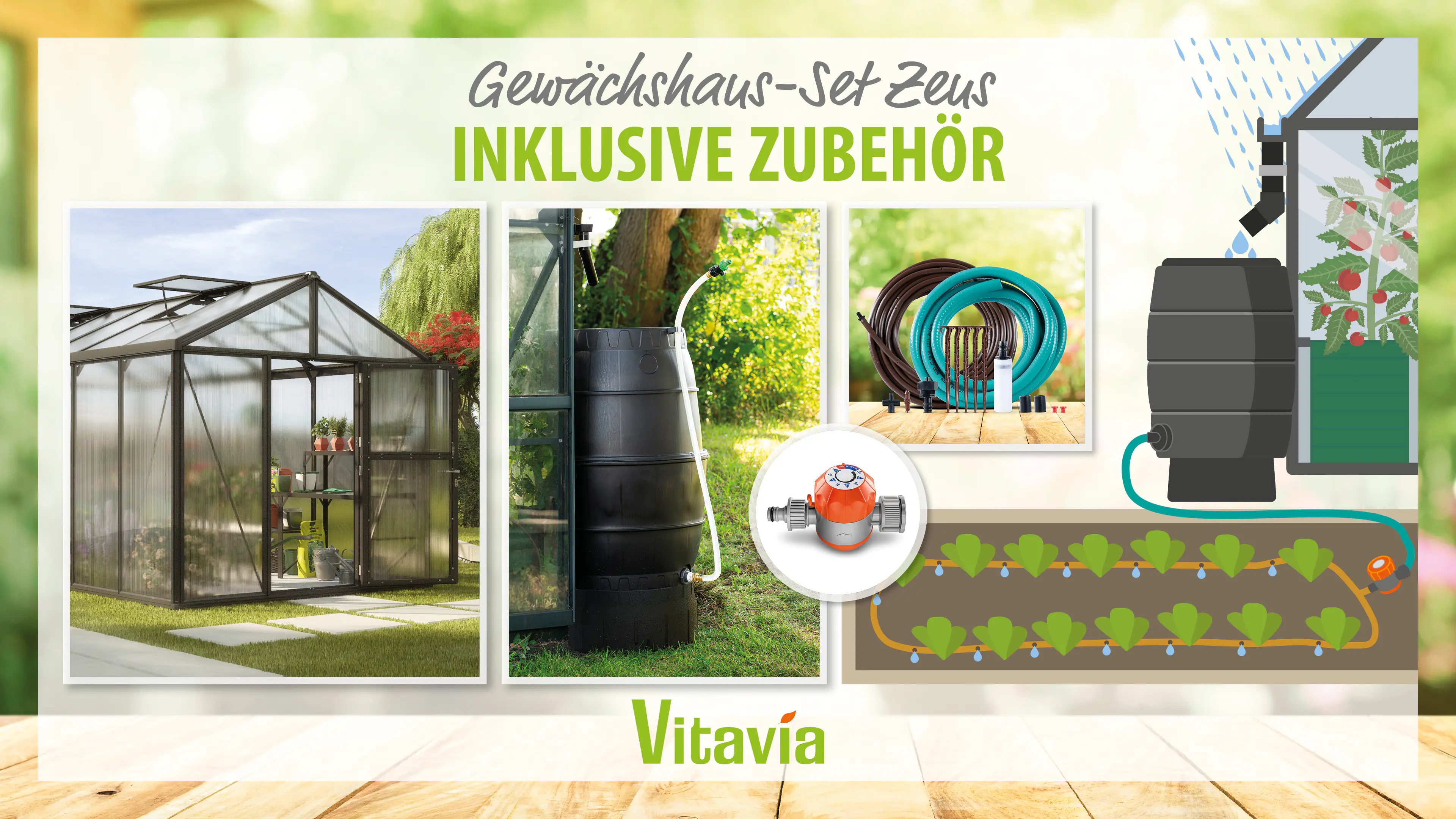 Vitavia Gewächshaus-Set Zeus 11900 HKP 10 mm schwarz 266 x 473 cm 