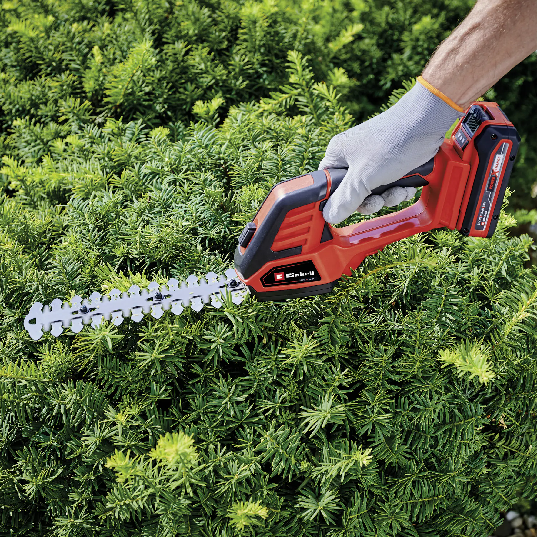 Einhell Akku Gras-/ Strauchschere GE-CG 18/100 Li Solo 20 cm Schnittbreite