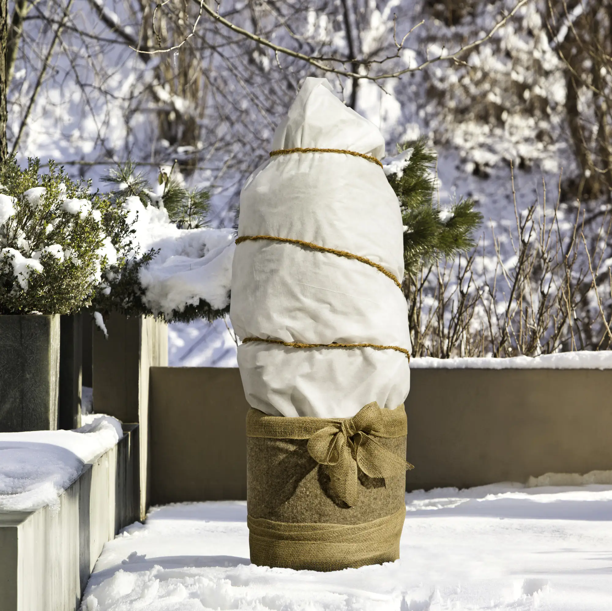 Windhager Winterschutz für Pflanzen Vlies 1 x 2,5 m weiß