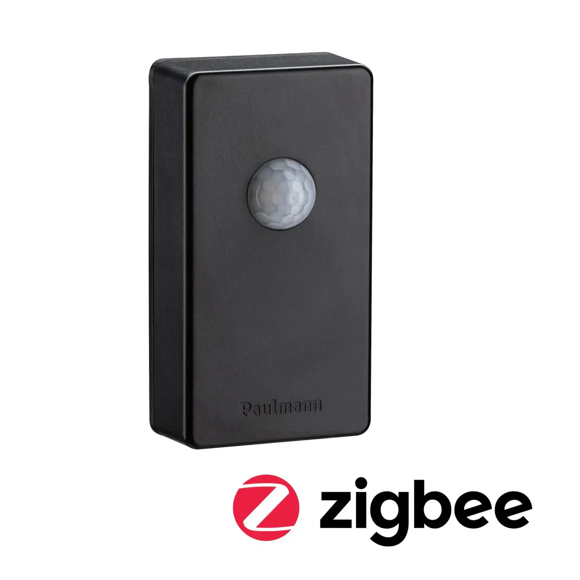 Paulmann Funksteuerung ZigBee Plug & Shine mit Dämmerungssensor & Bewegungsmelder anthrazit