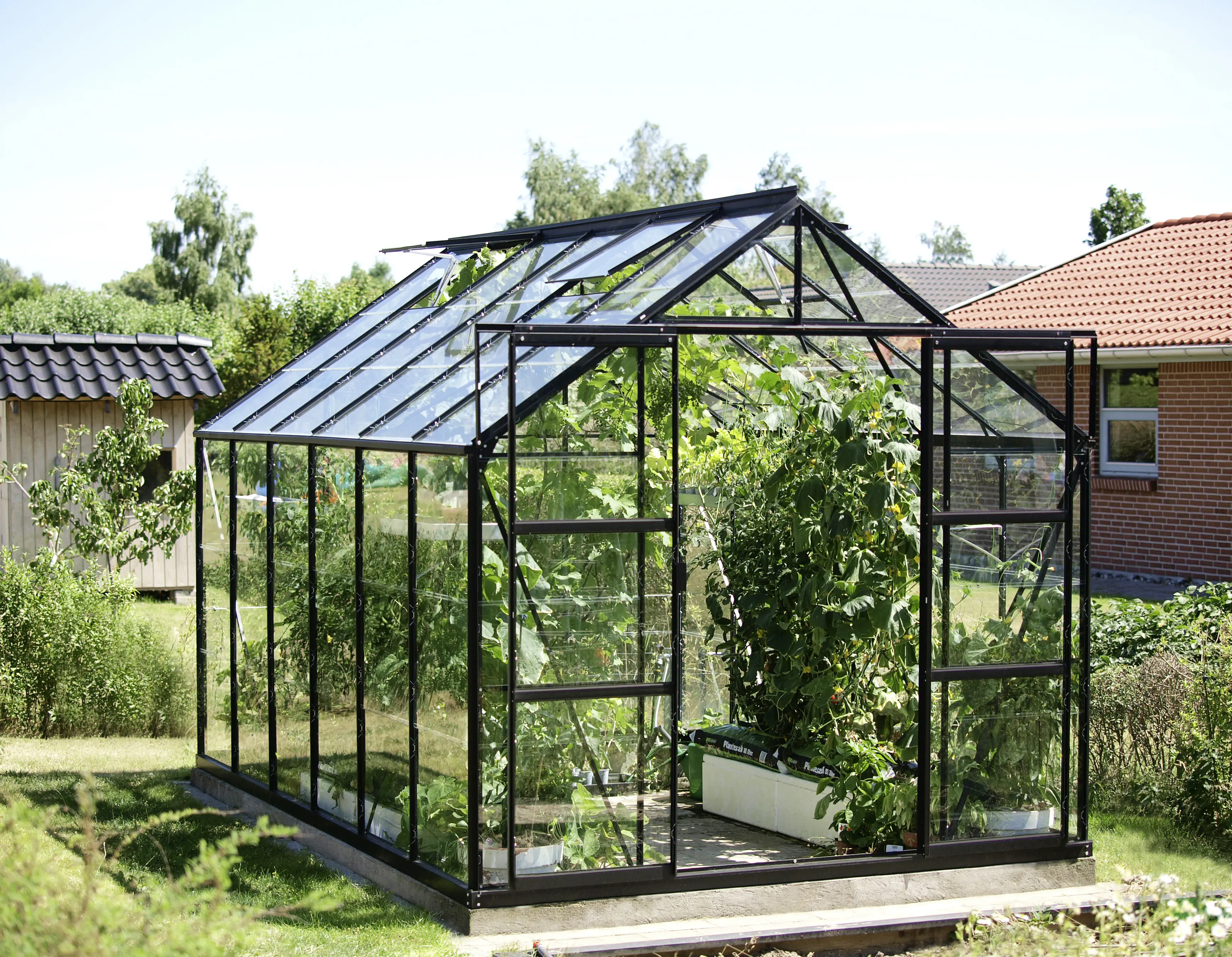 Vitavia Gewächshaus Uranus 9900 ESG 3 mm 254 x 379 cm
