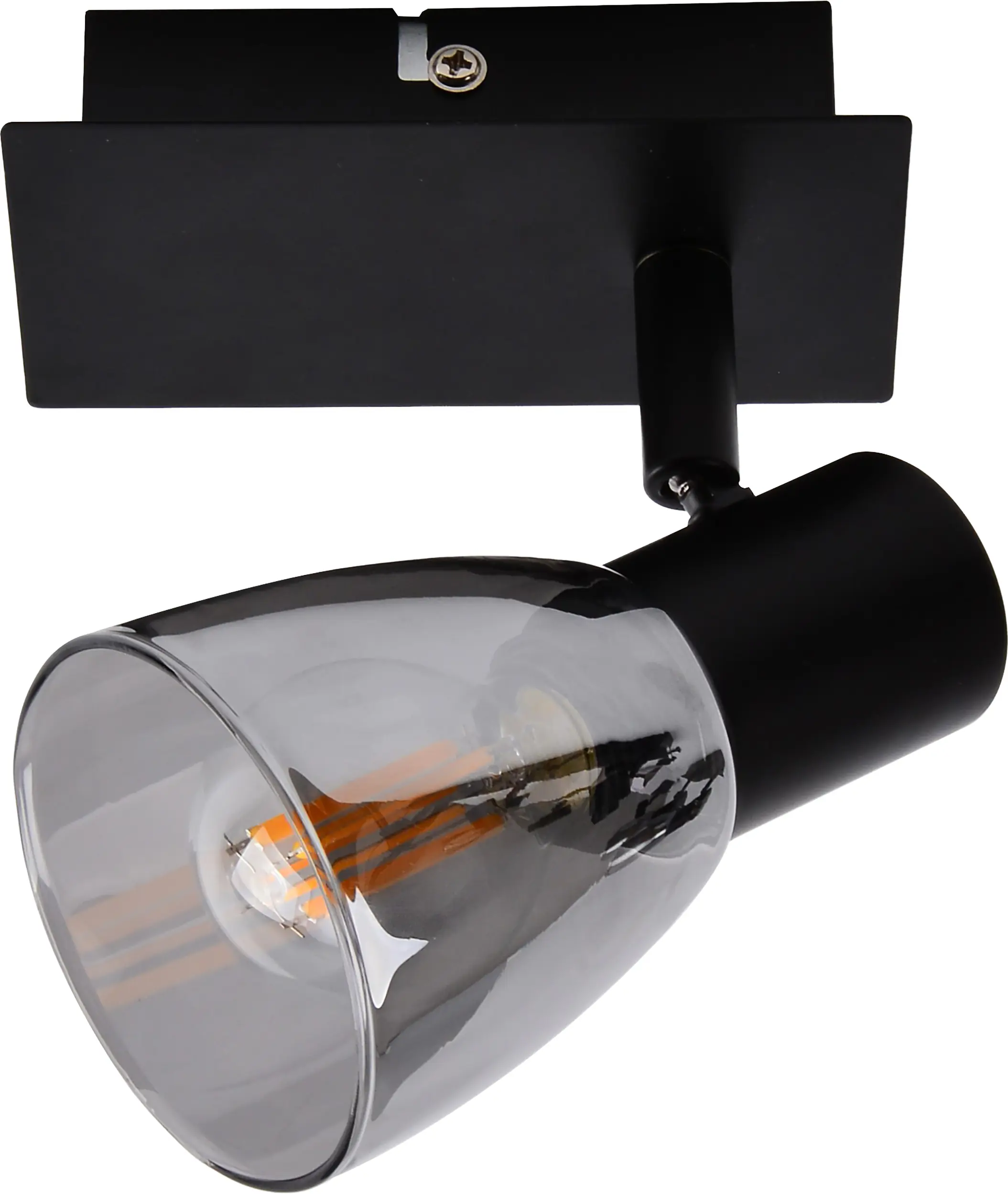 Primaster LED-Wandlampe 1er Spot Miami E14 12 x 12,5 cm schwarz 