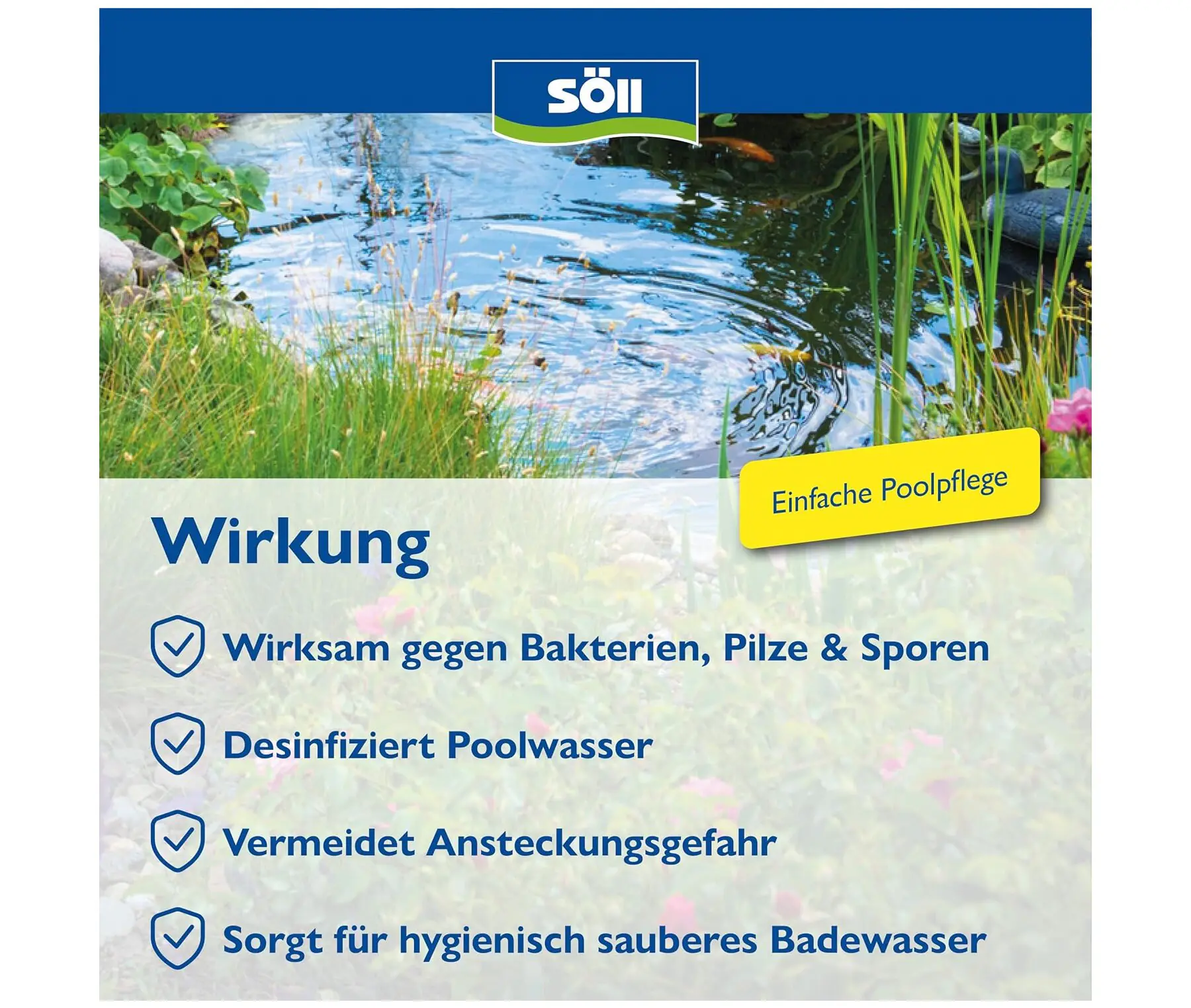 Söll Poolpflege AquaDes 5 L