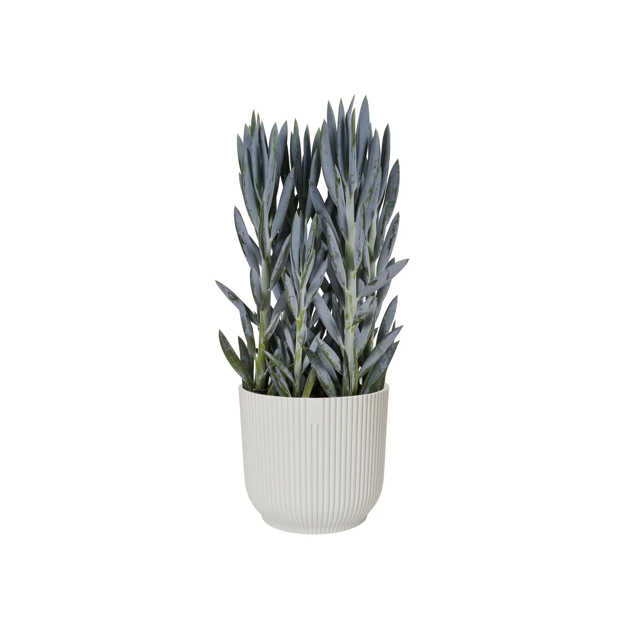 Elho Blumentopf Vibes Fold Ø 22 x 20 cm seidenweiß