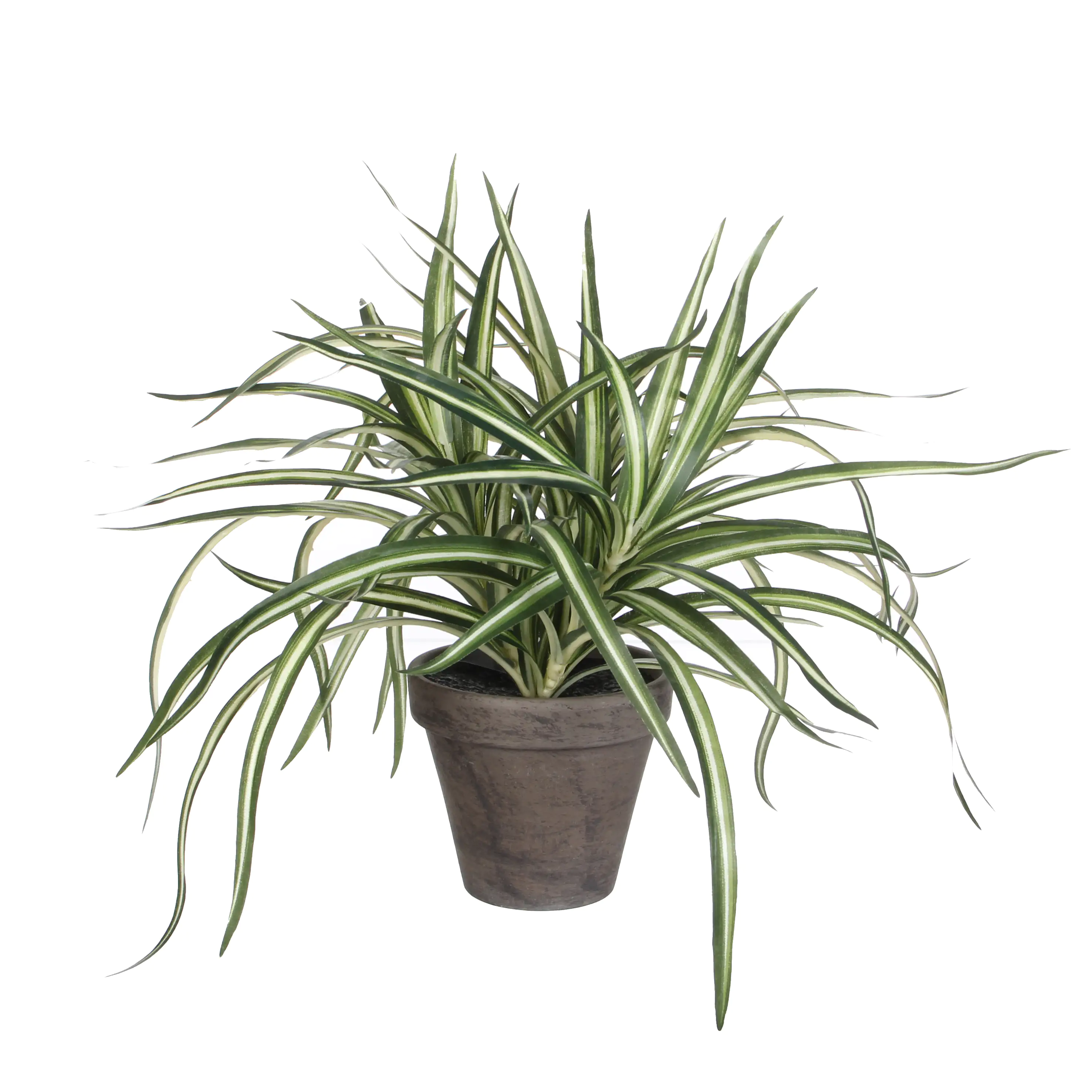 Mica Kunstpflanze Dracaena im Topf weiß/grün 34 x 40 cm 