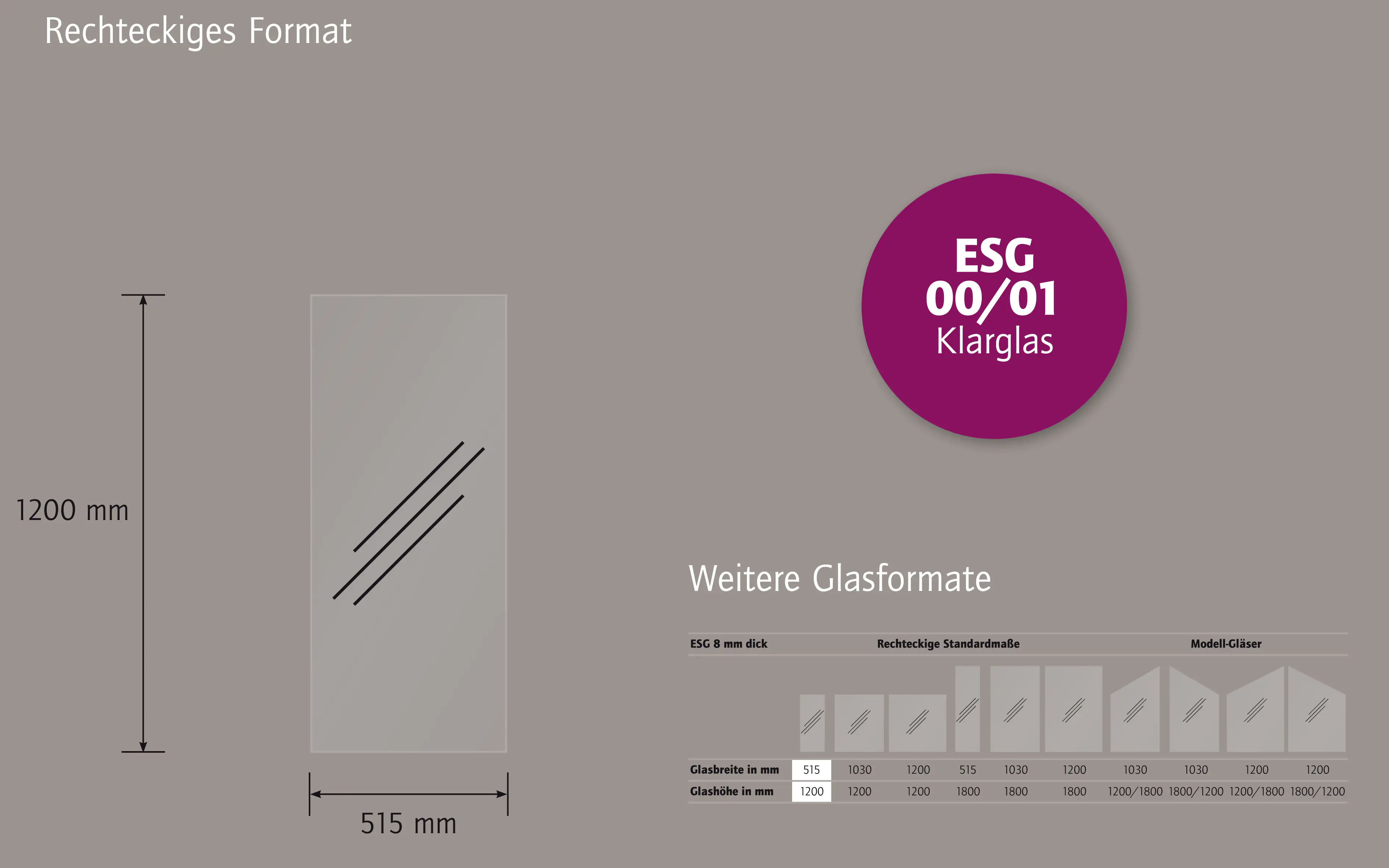 Ambiente Glaszaun Dekor 00/01 51,5 x 120 cm gehärtetes 8 mm Glas