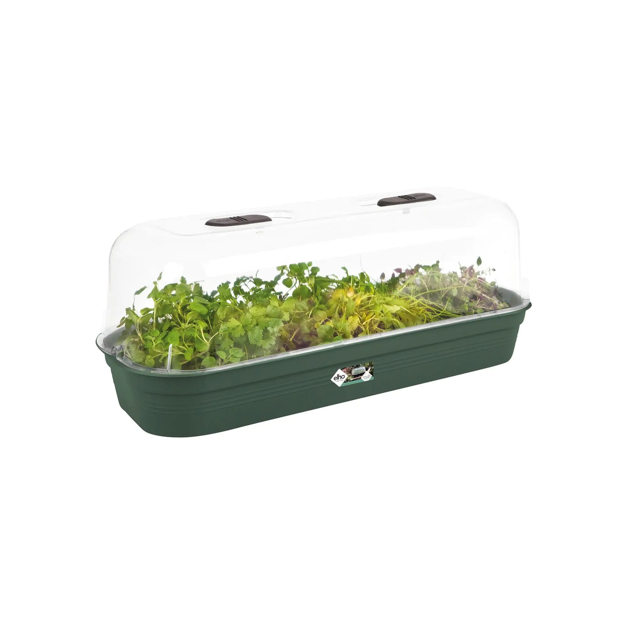 Elho Anzuchtschale Green Basic Gr. L laubgrün 51 x 19  cm