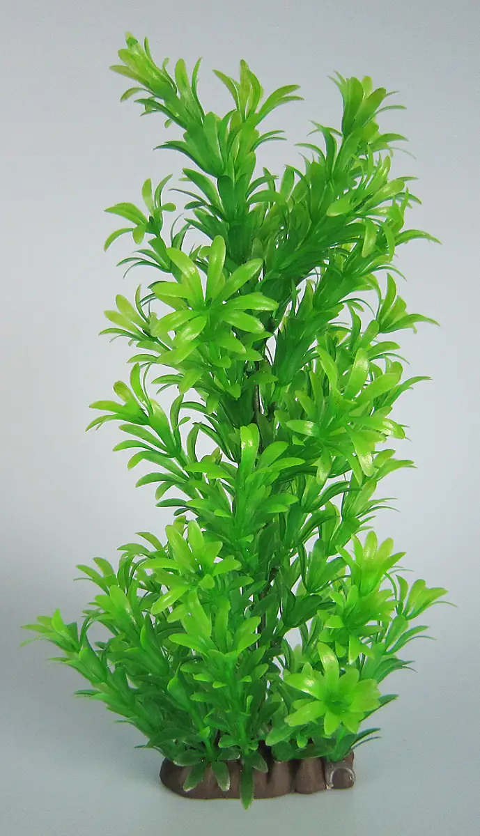 Orbit Aquapflanze Deluxe medium Nr. 16 18 - 22 cm