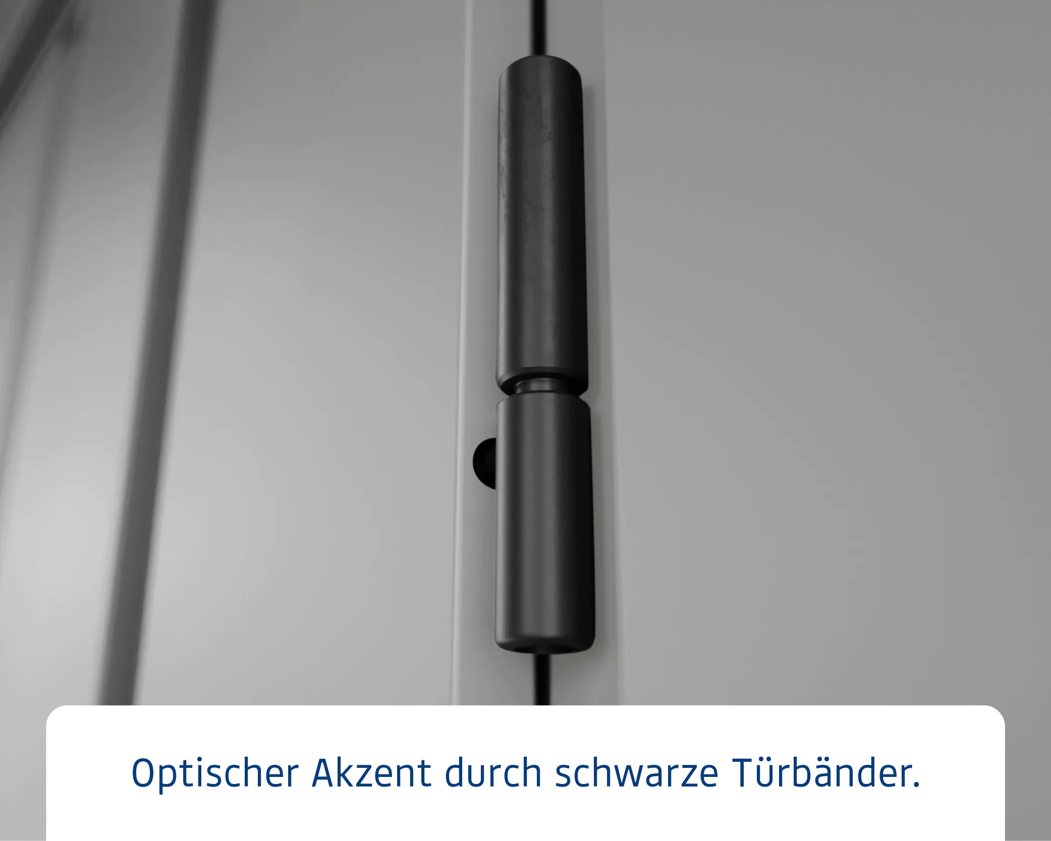 EcoStar Metallgerätehaus Euroline EFD14 LB graualuminium 310 x 310 cm 1-flg.
