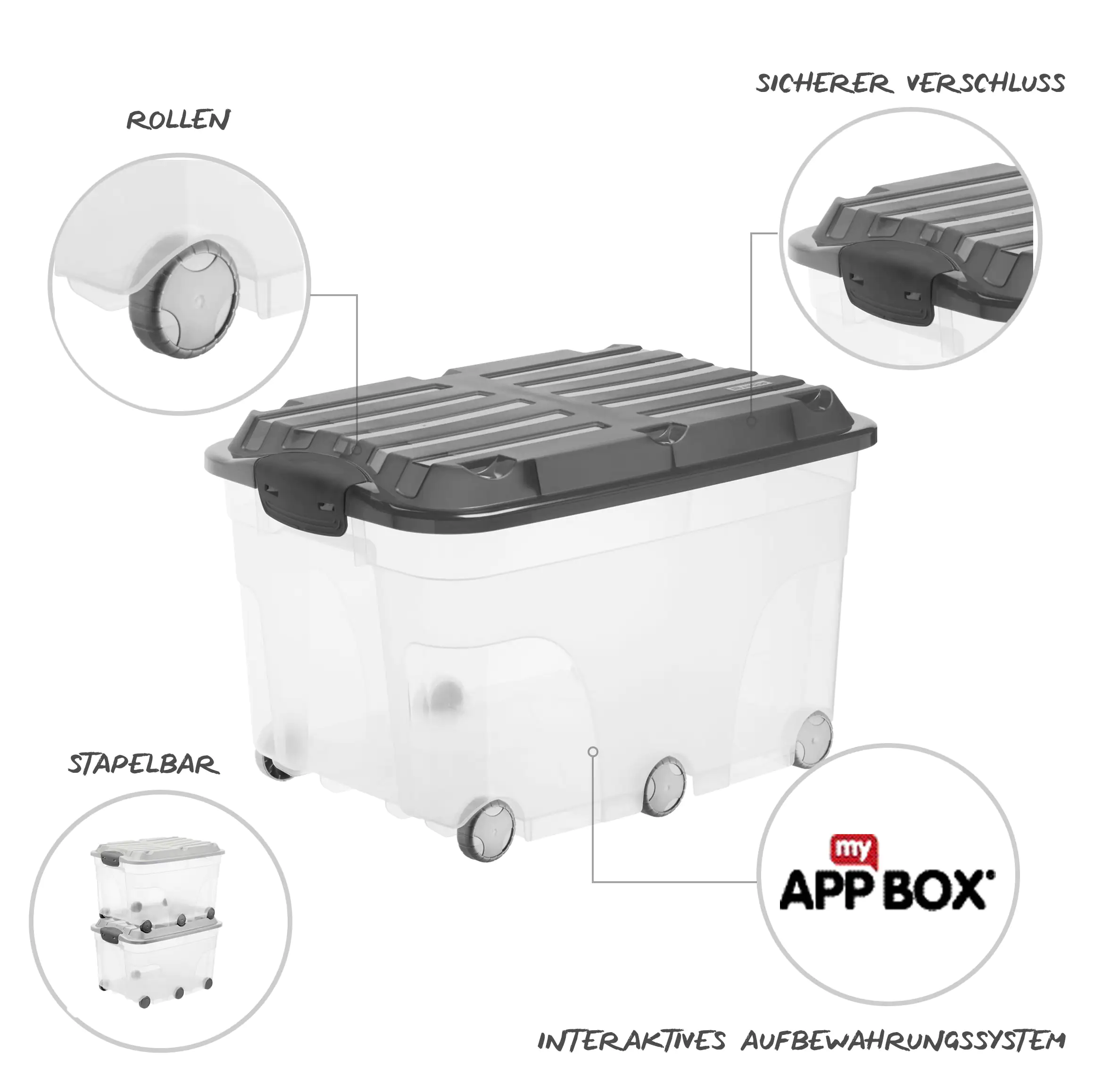 Rotho Aufbewahrungsbox Roller 6 mit Deckel & Rollen 59,5 x 40 cm 57 L anthrazit