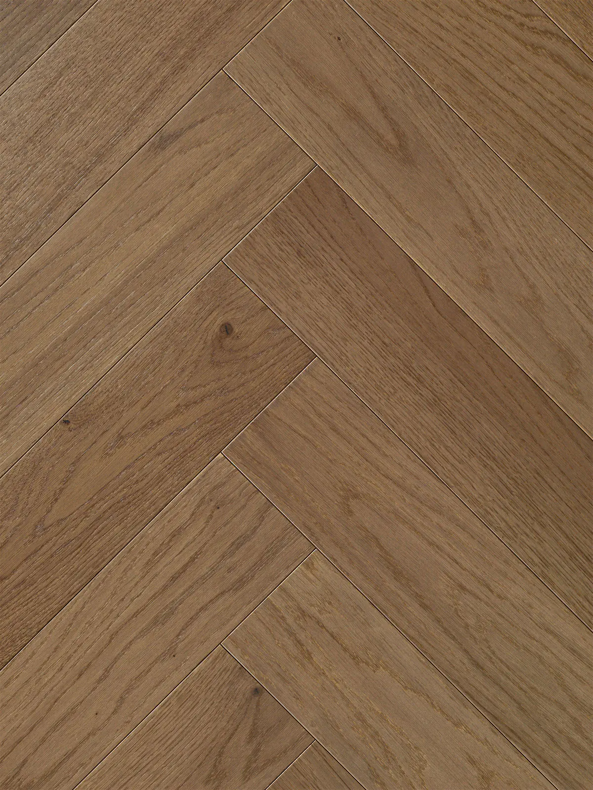 Parador Parkett Trendtime Eiche nougat matt