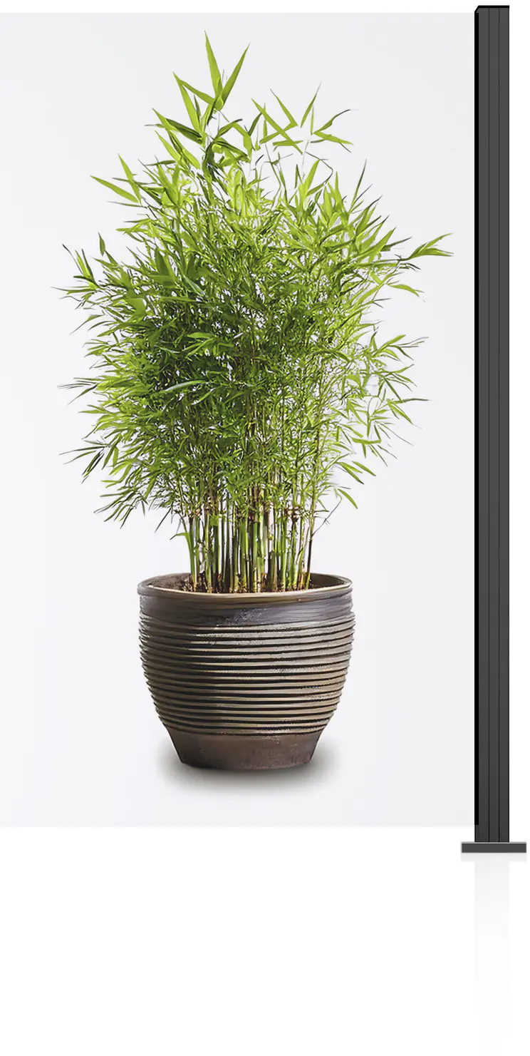 Ambiente Glaszaun Erweiterungsset Klarglas 187 x 107,2 cm anthrazit