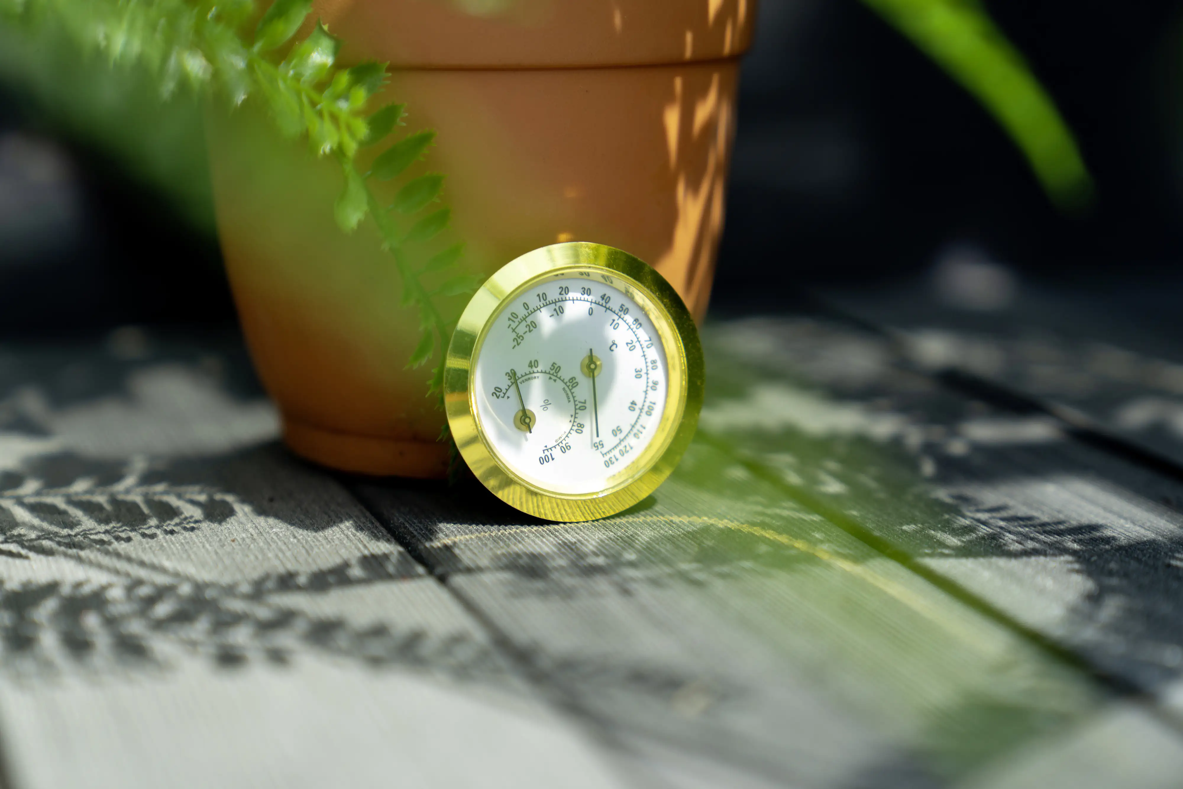 Vitavia Hygrometer