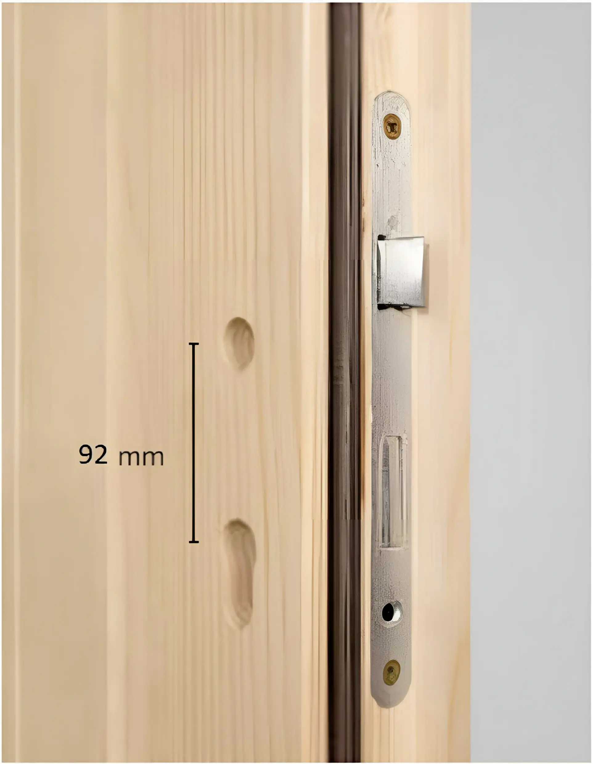 Panto Nebeneingangstür Holz 504 88 x 198 cm DIN links