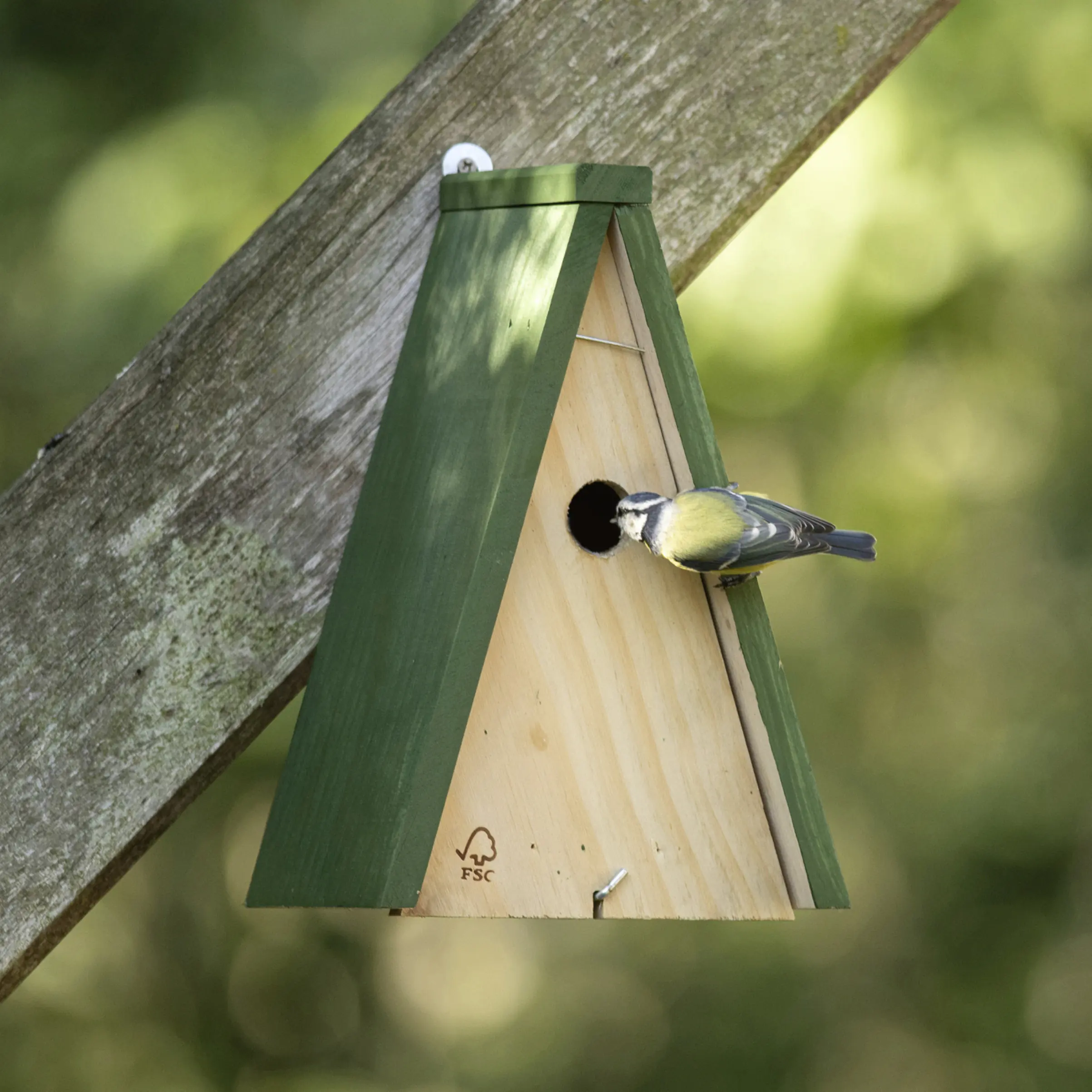 CJ Wildlife Nistkasten für Wildvögel Miami 19,5 x 16 cm natur/grün
