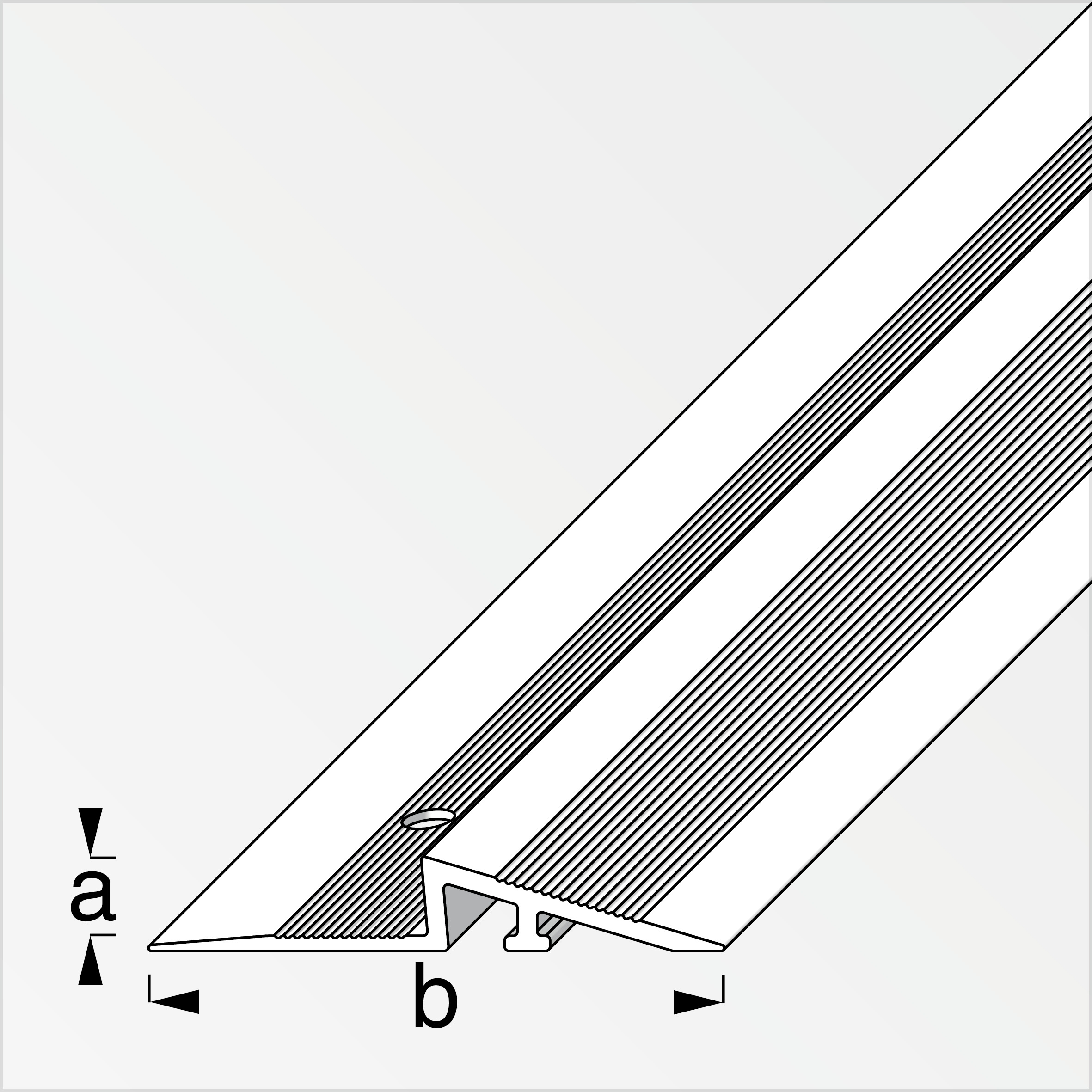 alfer Rampen-Profil 1 m, 38 x 5 mm Aluminium eloxiert messing