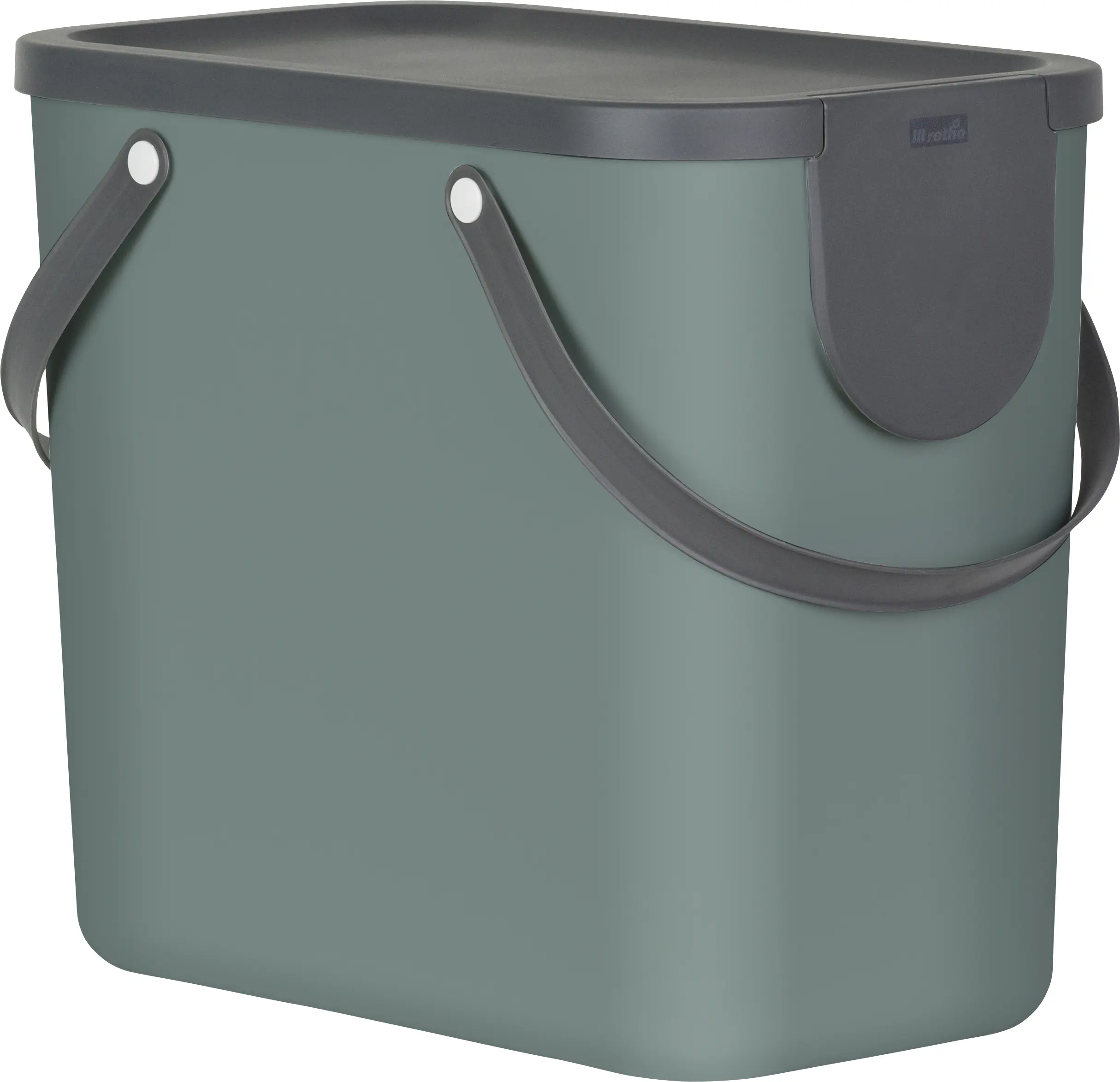 Rotho Mülltrennungssystem Albula 25 L mistletoe green Recyclingbehälter