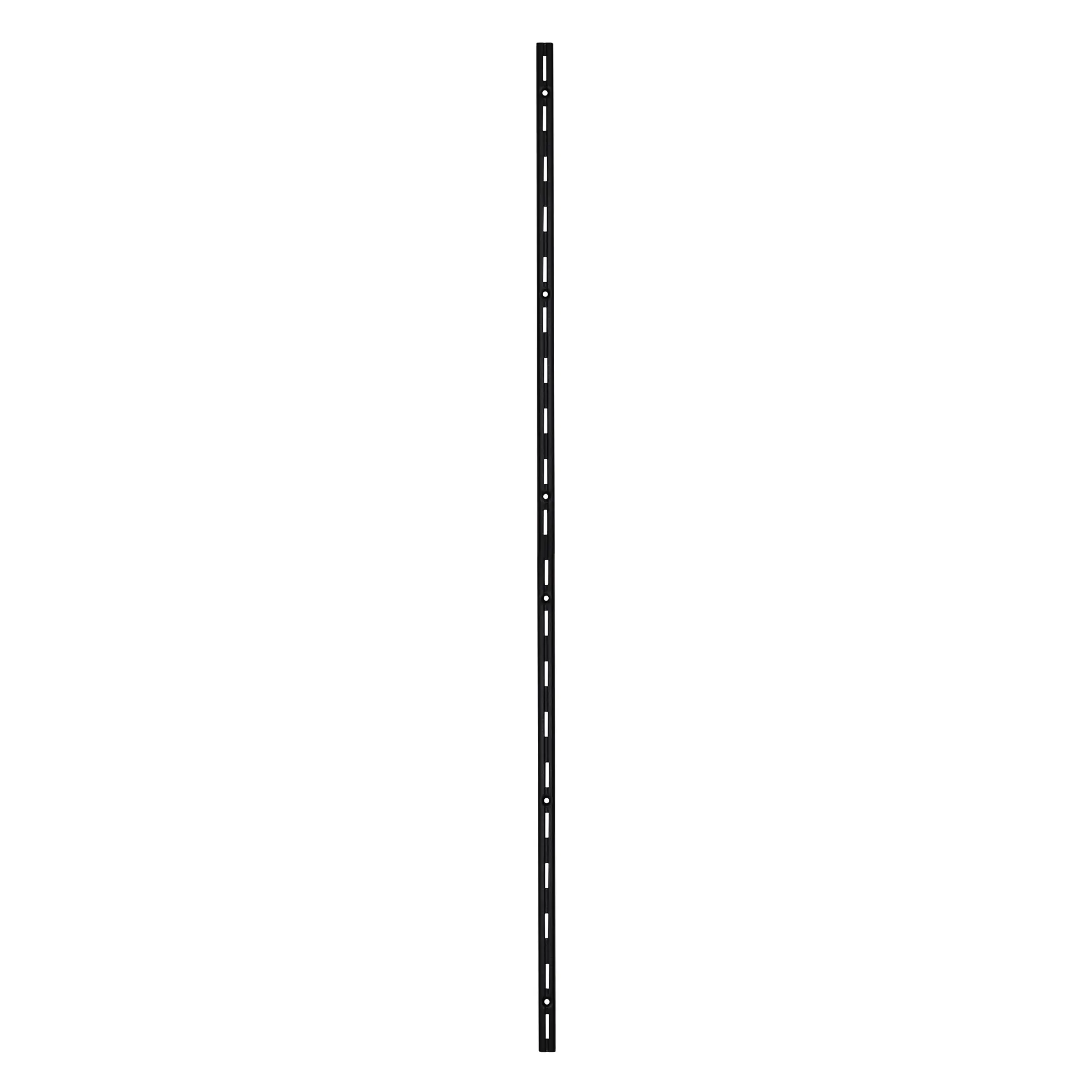 TrendLine Wandschiene 1-reihig schwarz 100 x 1,5 cm
