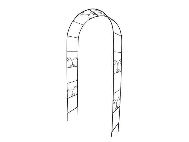 TrendLine Rosenbogen Rita 2,38 x 1,04 m