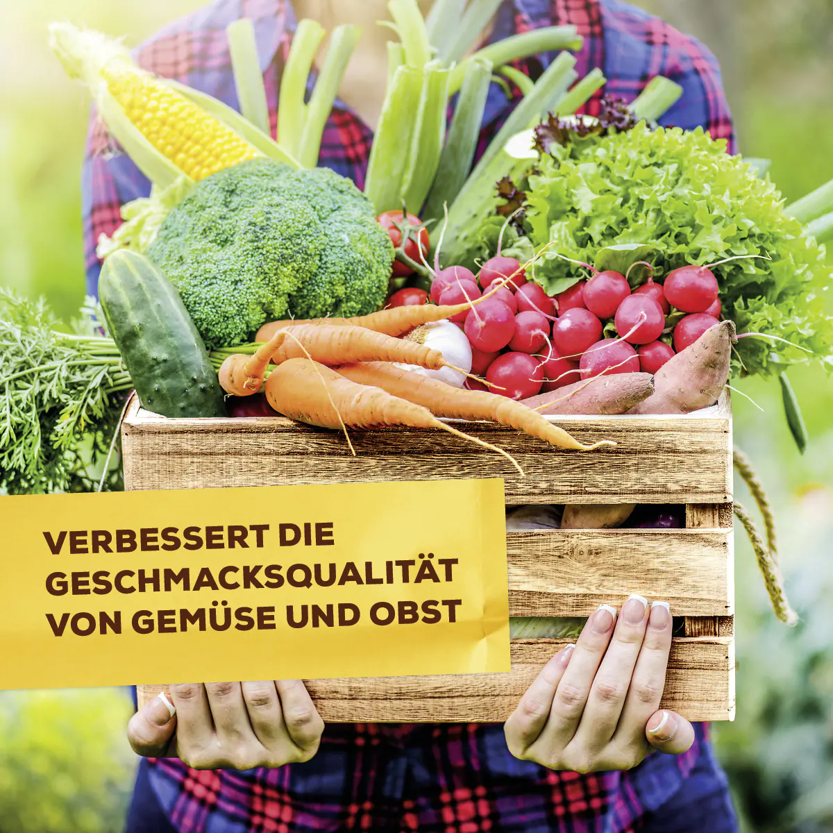 Solabiol Veggie Boost Pflanzenstärkungsmittel 250 ml