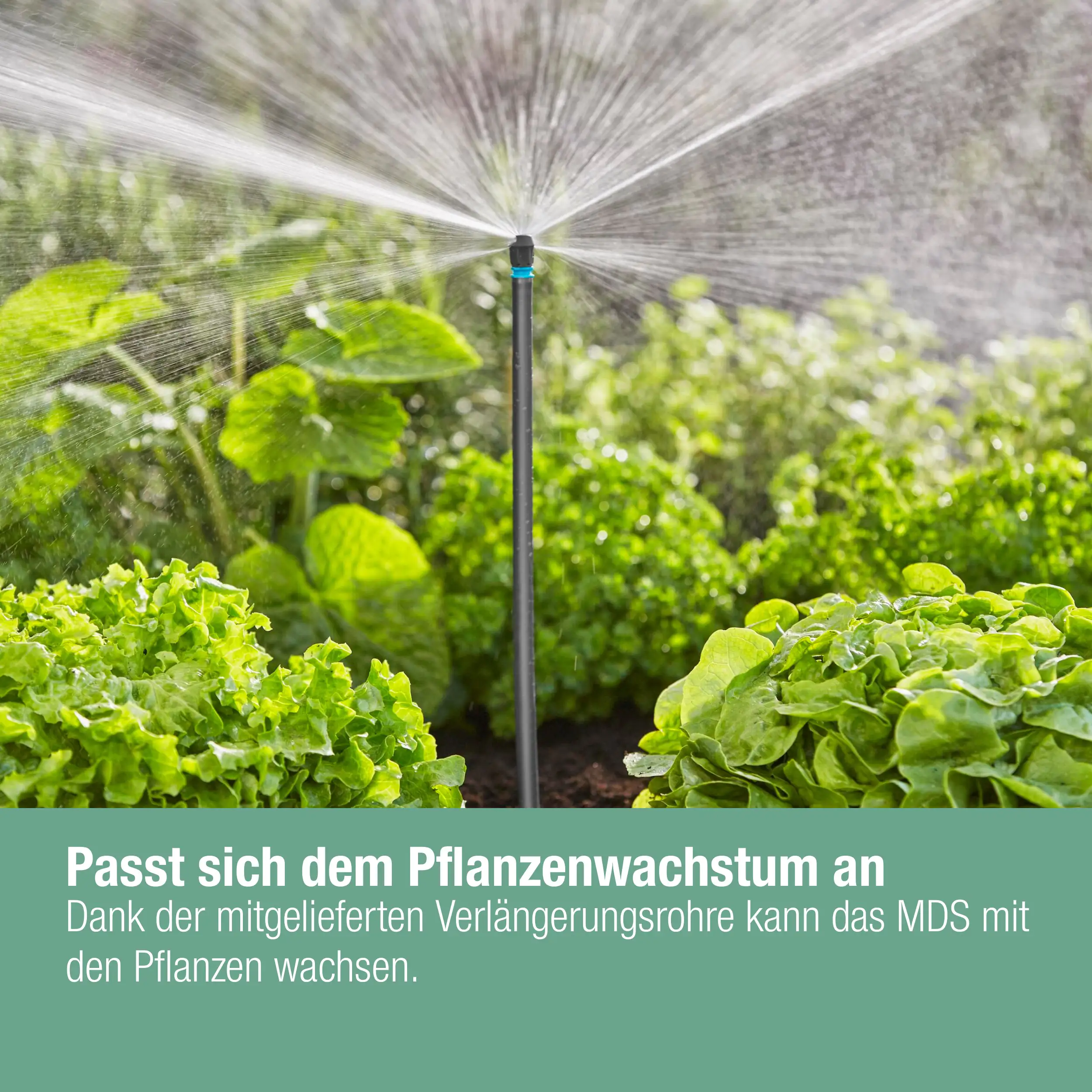 Gardena Bewässerungsset für Gemüse/Blumenbeet bis zu 60 m²