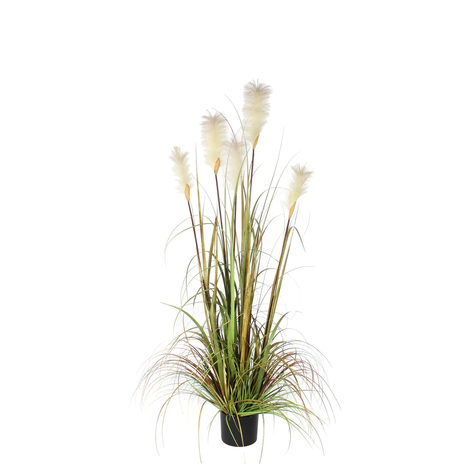 Mica Kunstpflanze Federgras Foxtail im Topf grün, 150 x 70 cm