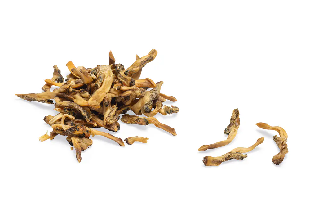 Beeztees Hundeleckerli hypoallergen 100 g Schwertmuscheln getrocknet