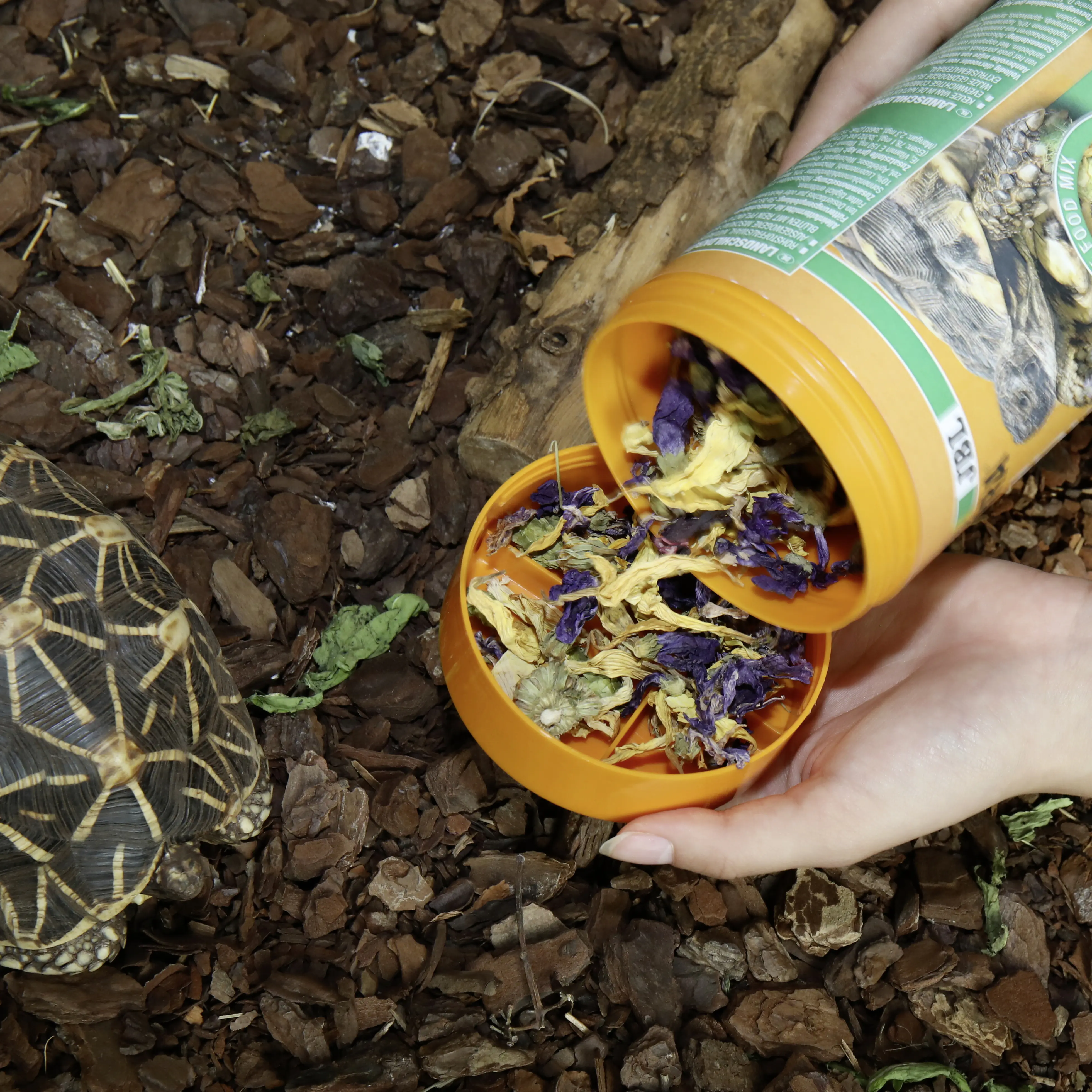 JBL Schildkrötenfutter Proterra Florsil 250 g